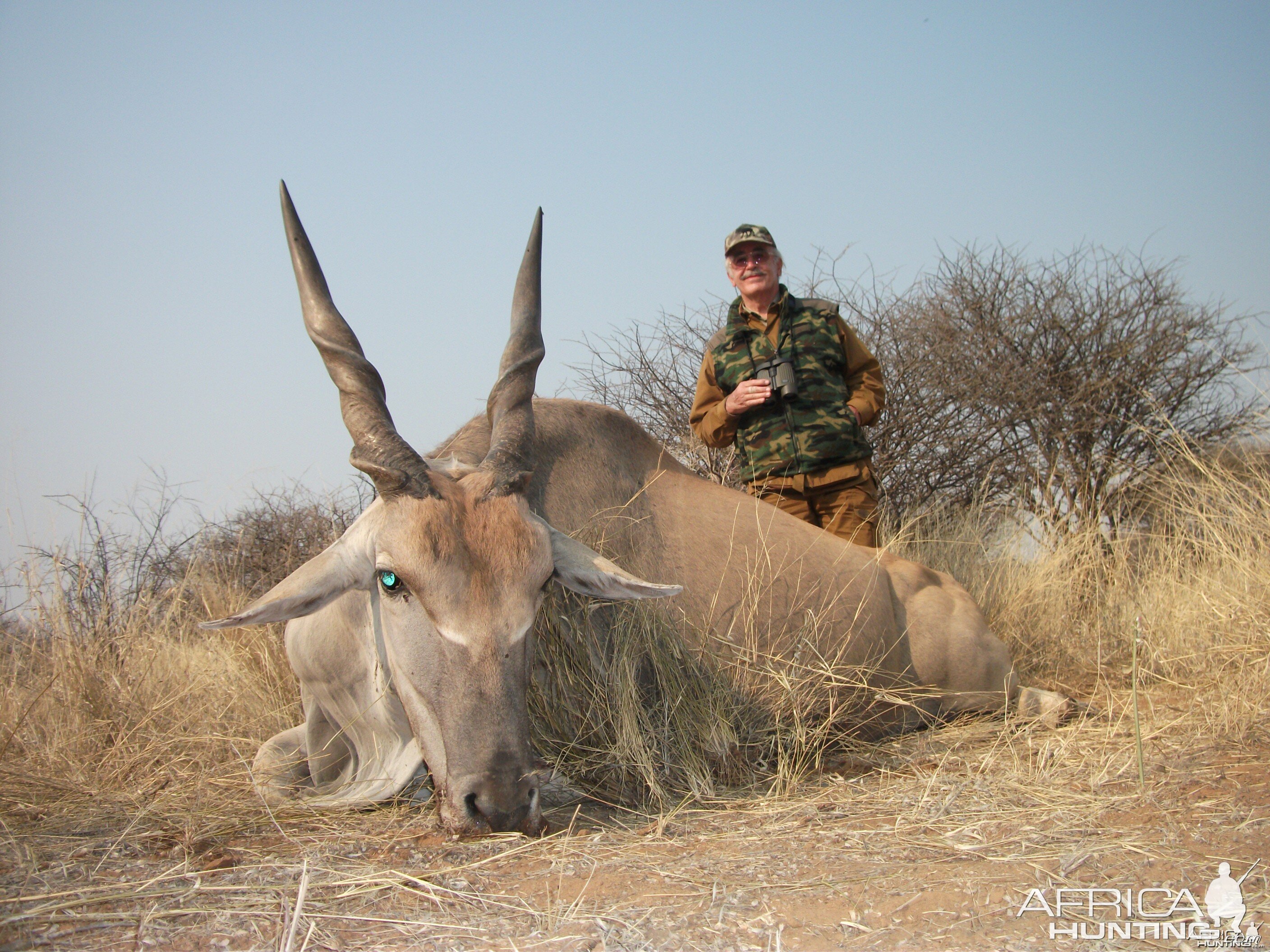 Hunting Cape Eland in Namibia