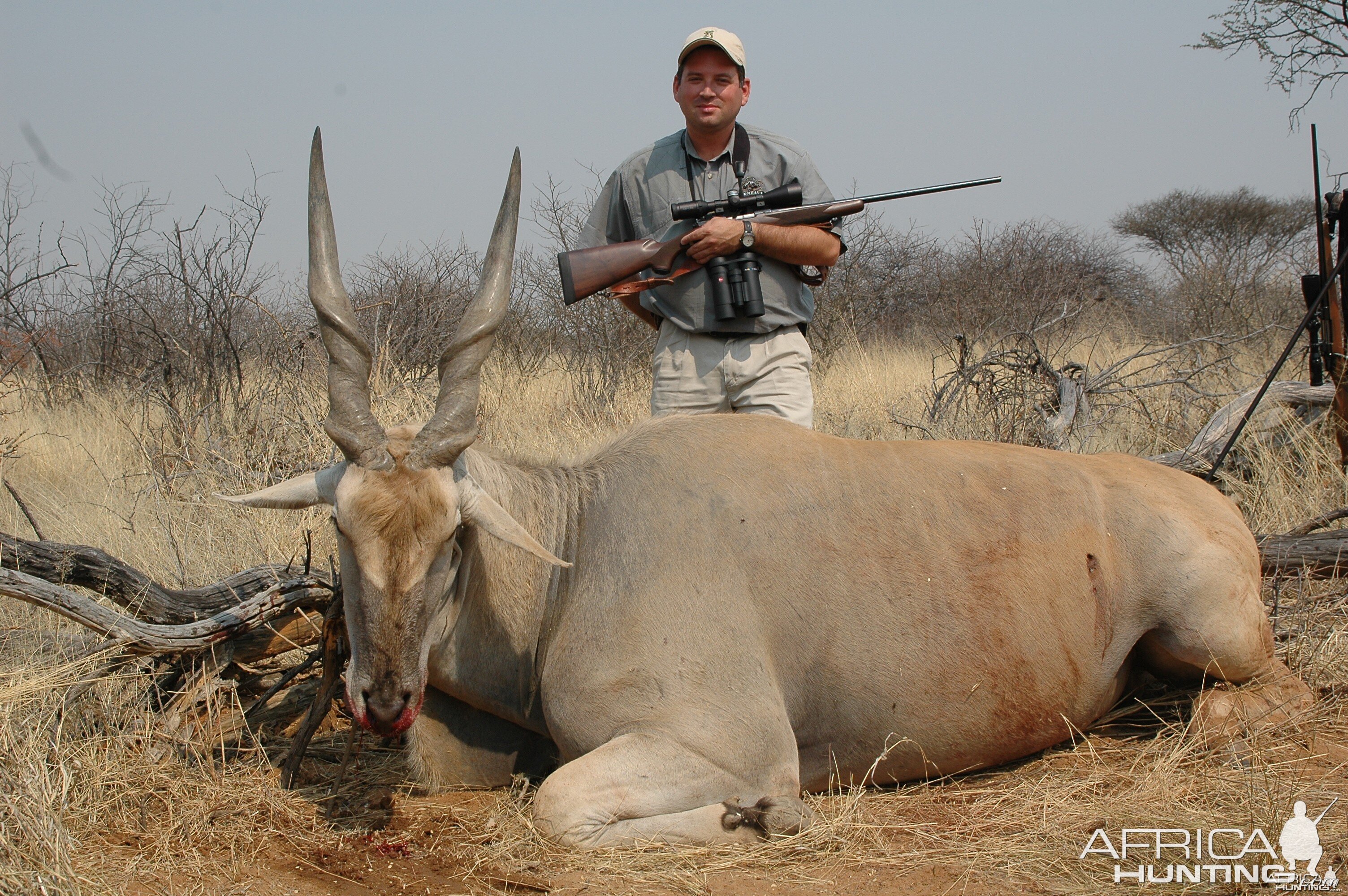 Hunting Cape Eland in Namibia