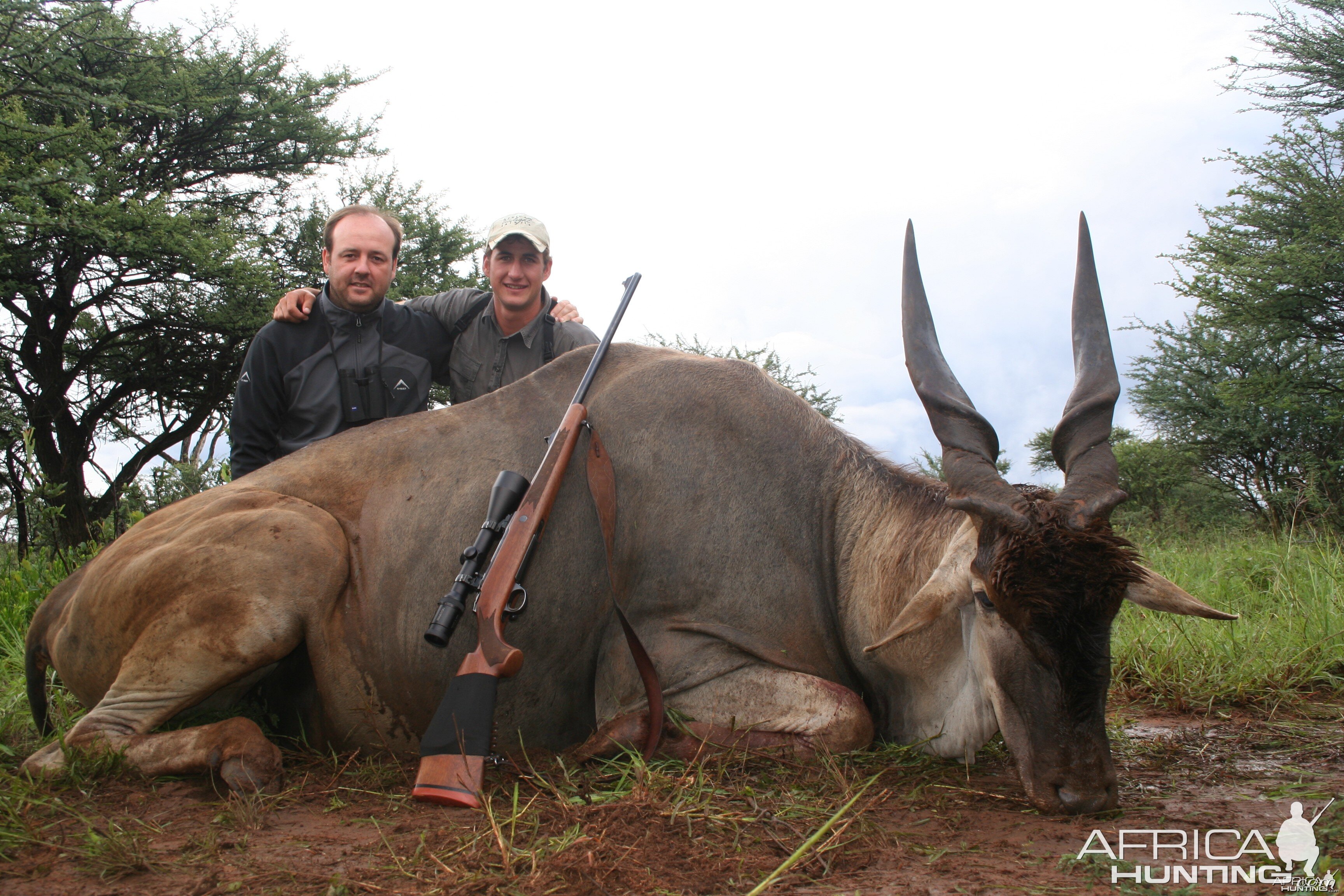 Hunting Cape Eland in Namibia