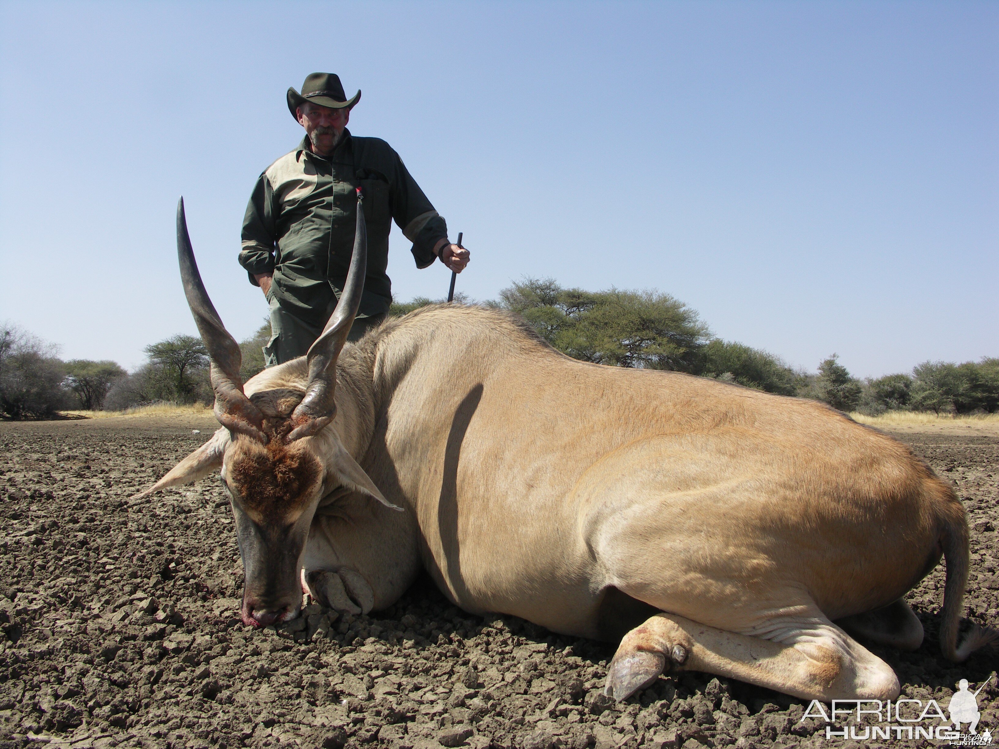 Hunting Cape Eland in Namibia