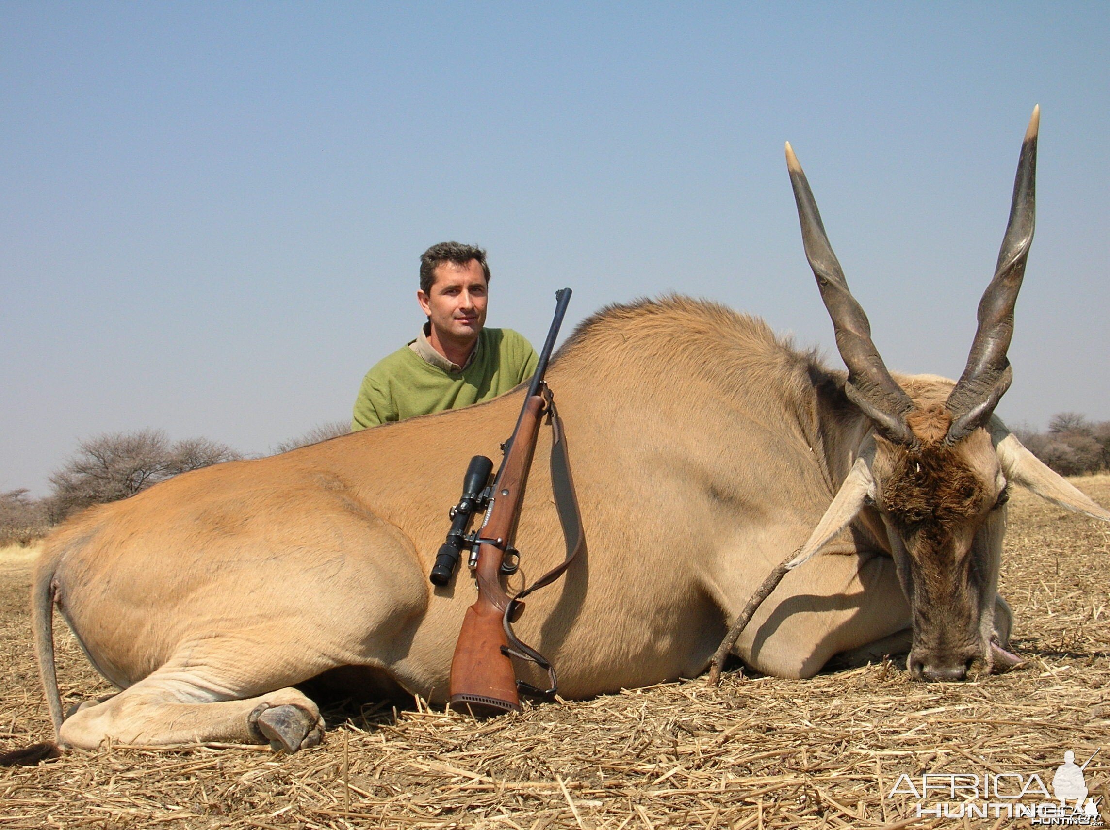 Hunting Cape Eland in Namibia