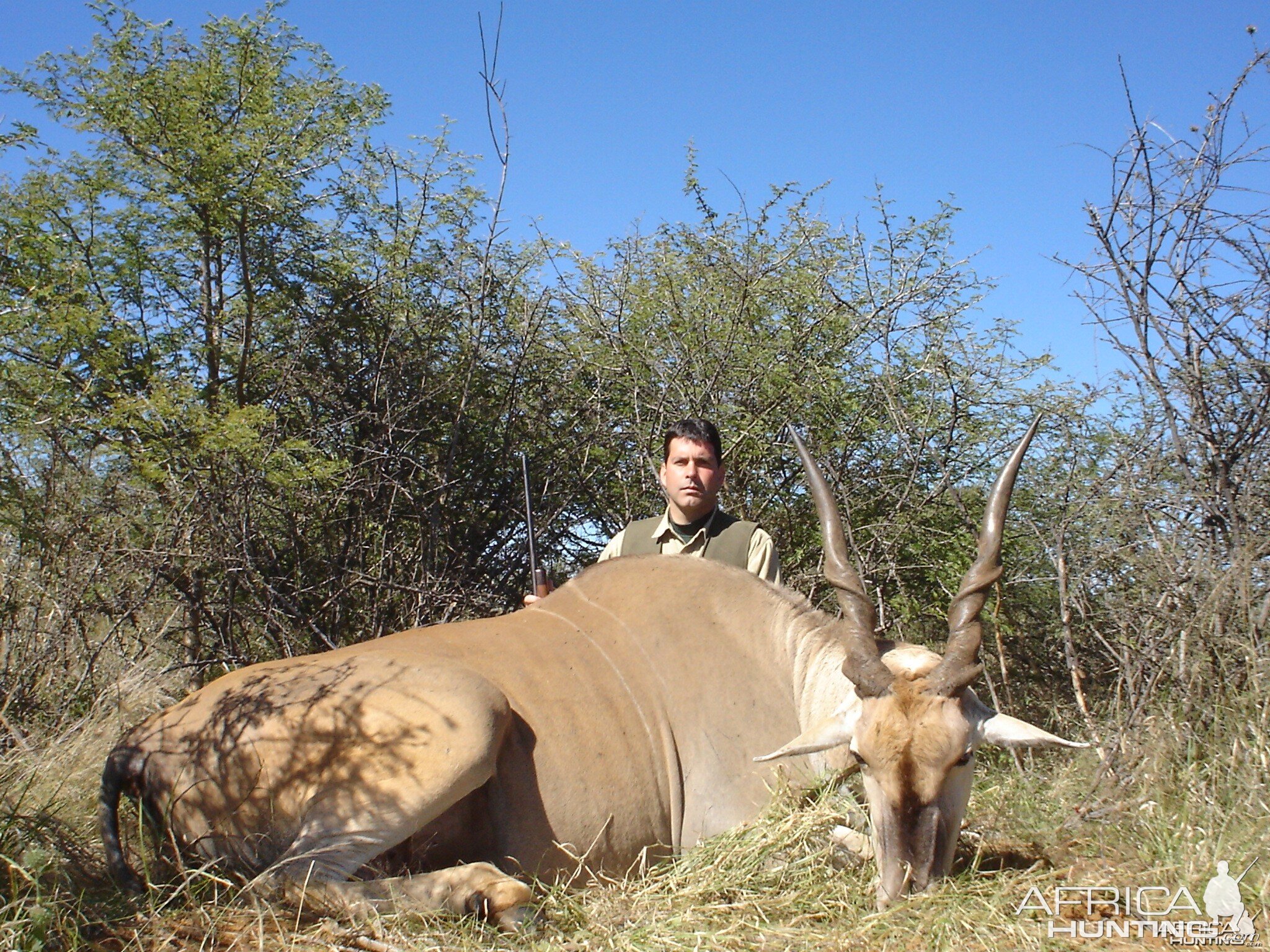 Hunting Cape Eland in Namibia