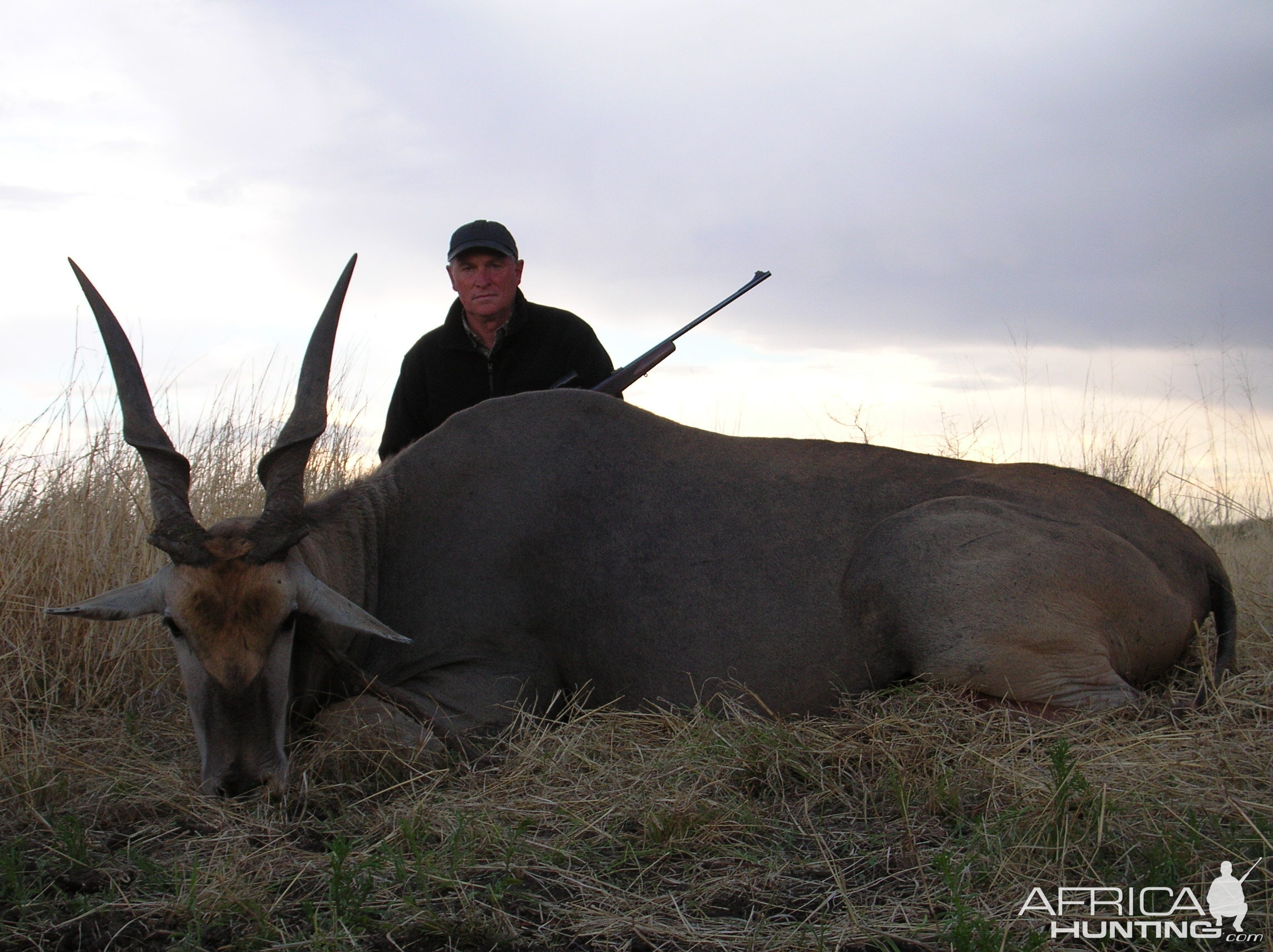 Hunting Cape Eland in Namibia