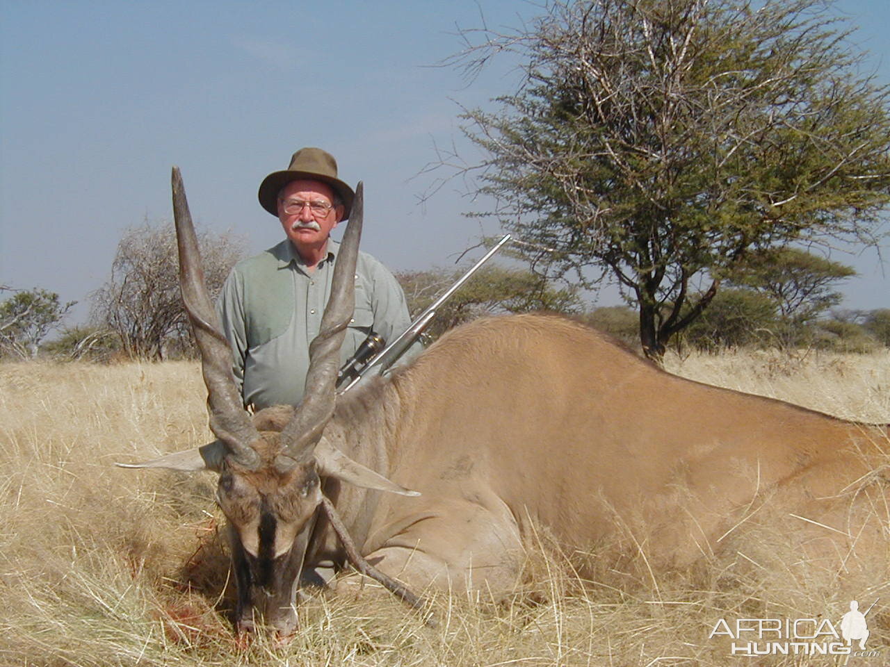 Hunting Cape Eland in Namibia