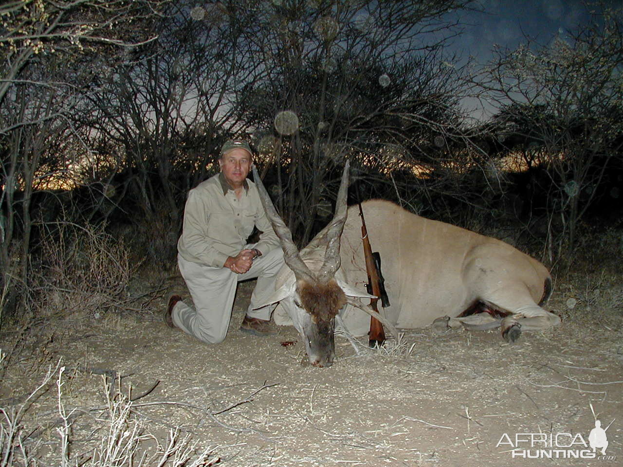 Hunting Cape Eland in Namibia