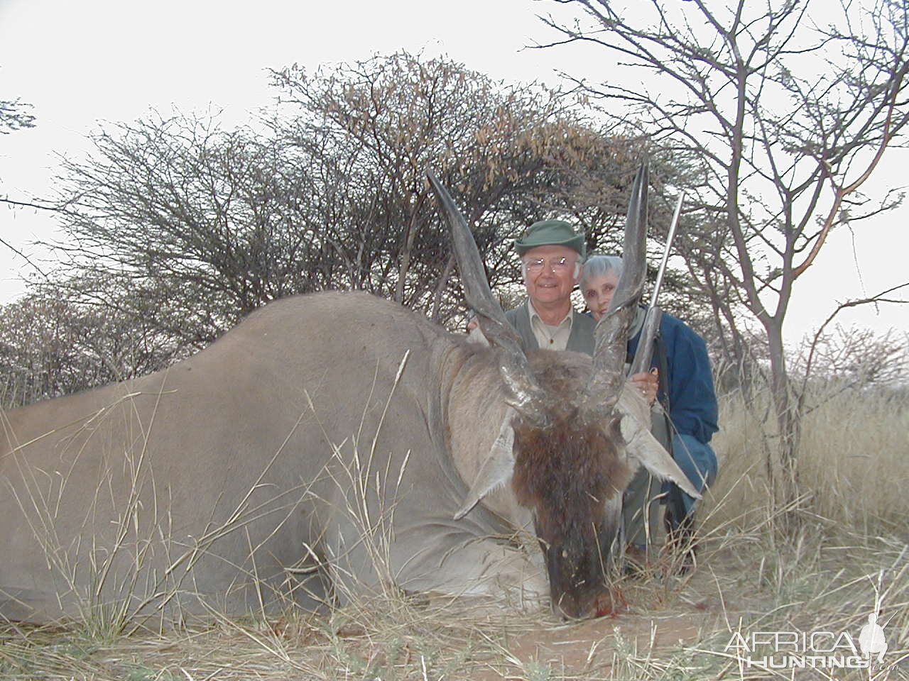 Hunting Cape Eland in Namibia