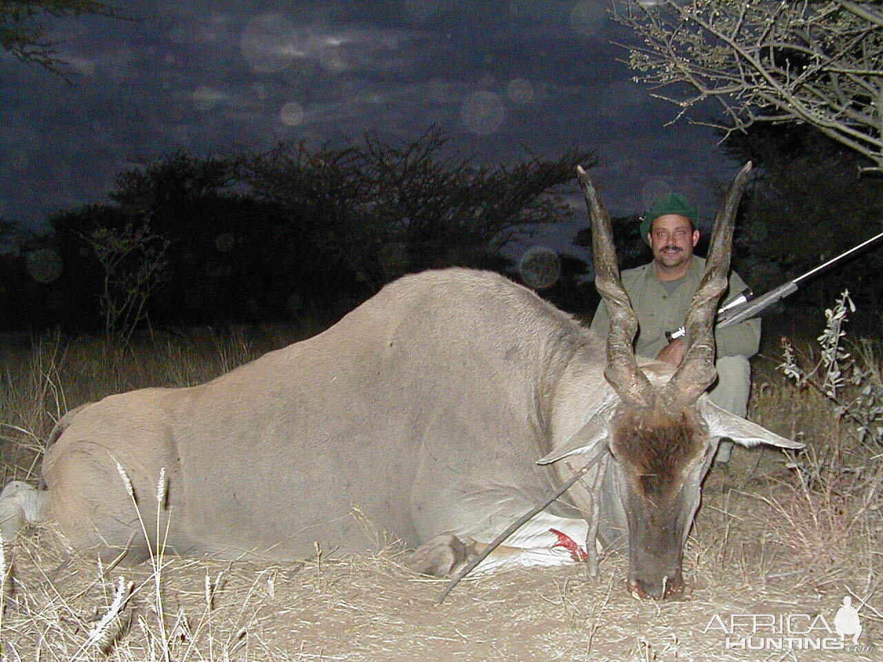 Hunting Cape Eland in Namibia