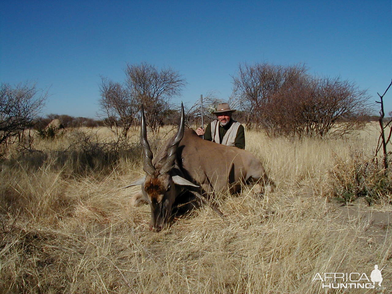 Hunting Cape Eland in Namibia