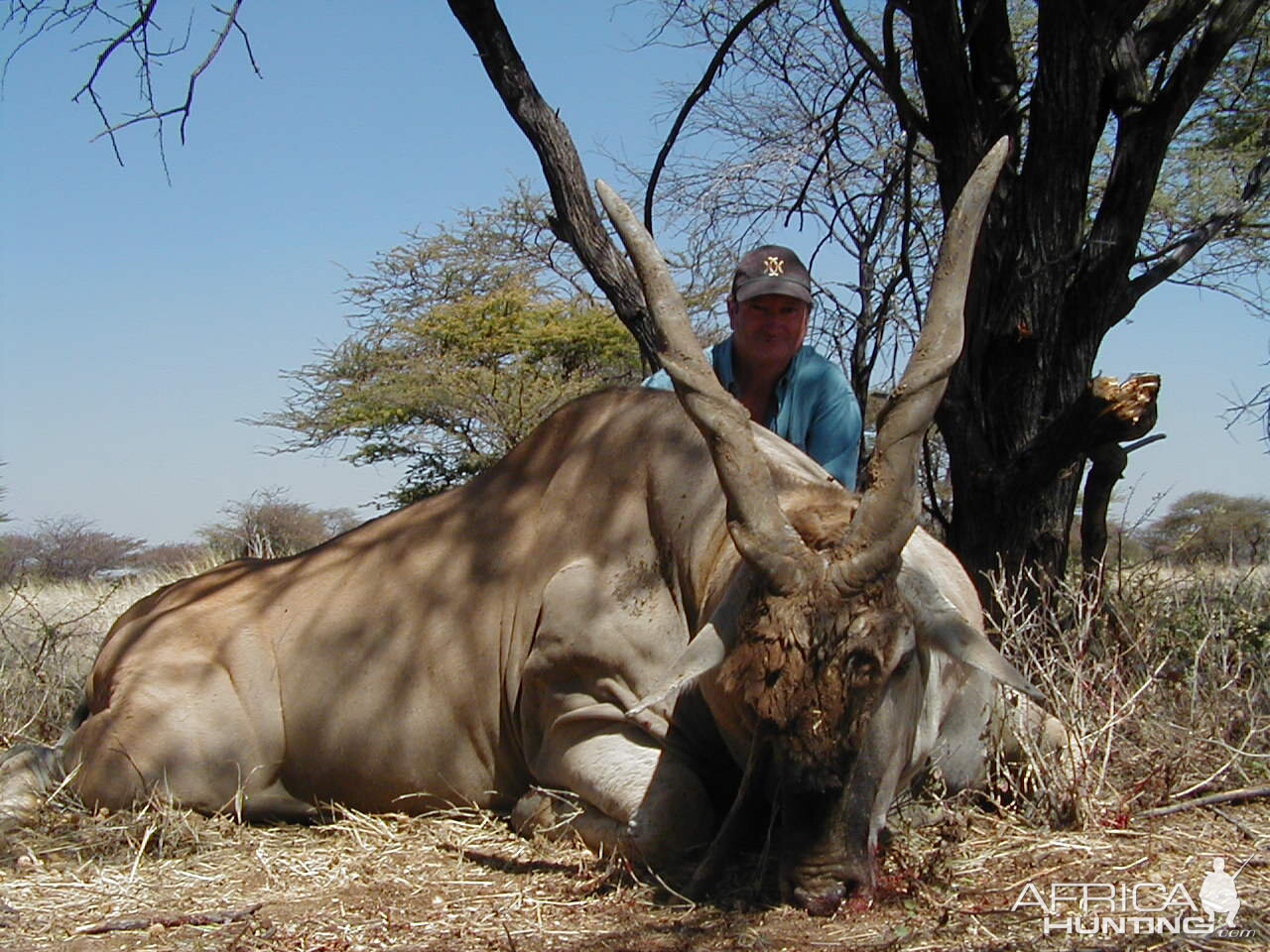 Hunting Cape Eland in Namibia