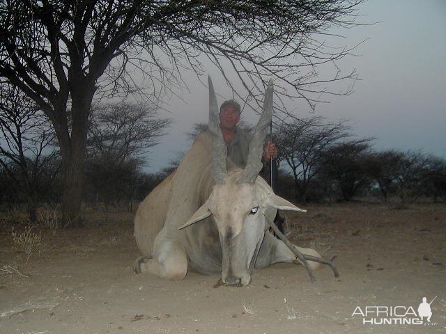 Hunting Cape Eland in Namibia