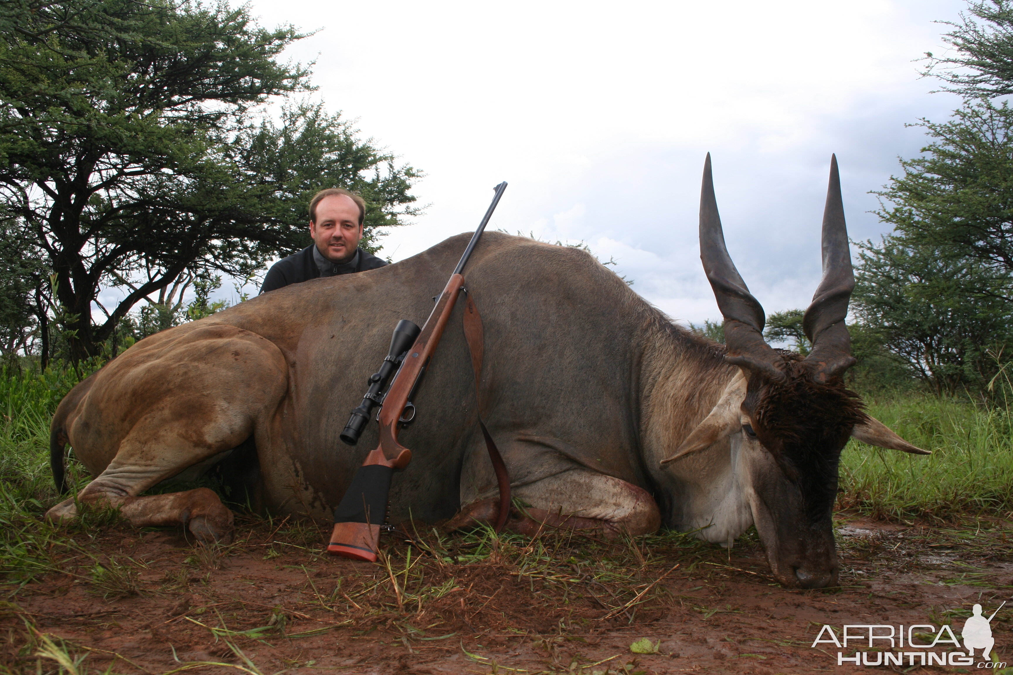 Hunting Cape Eland in Namibia