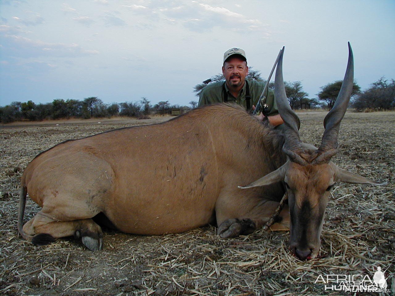 Hunting Cape Eland in Namibia