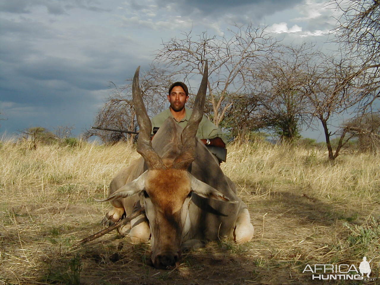 Hunting Cape Eland in Namibia