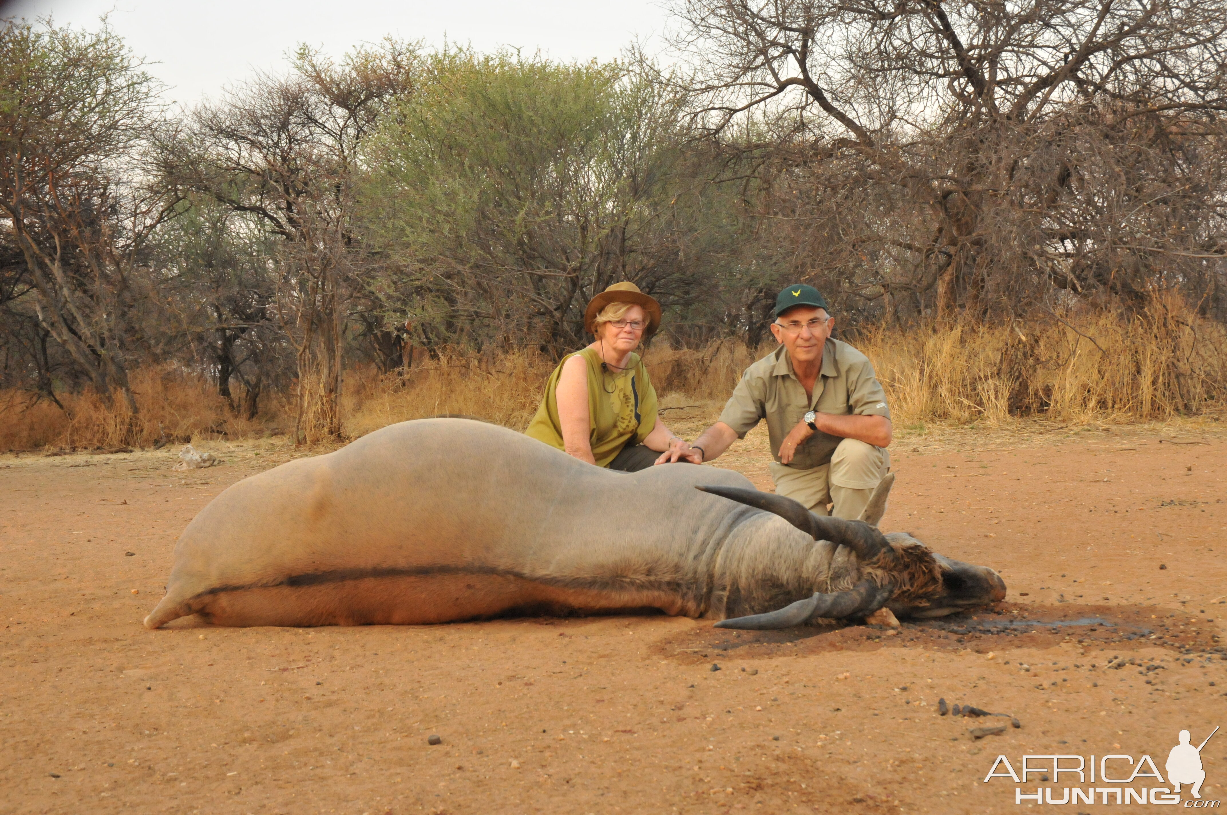 Hunting Cape Eland in Namibia