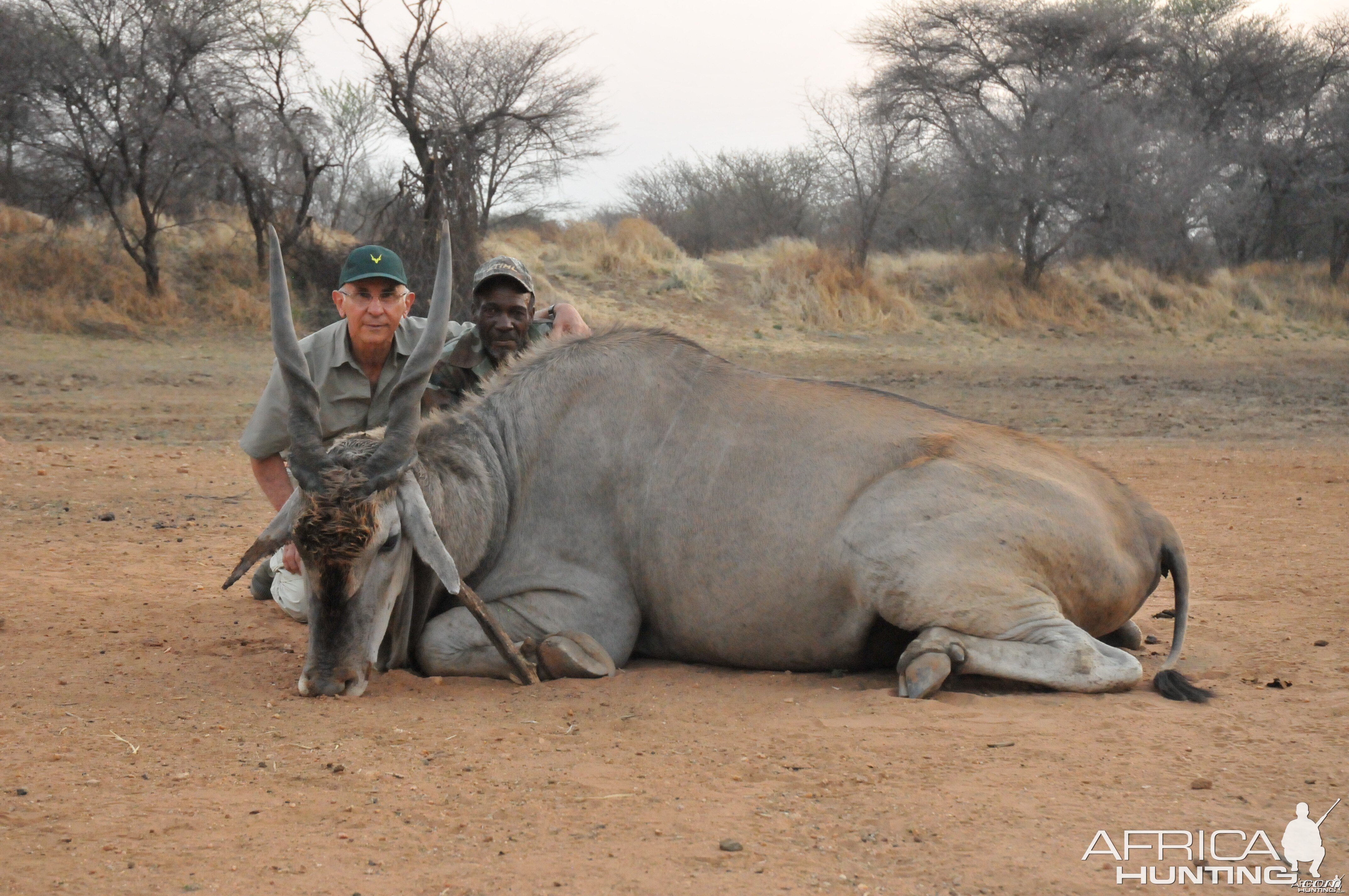 Hunting Cape Eland in Namibia