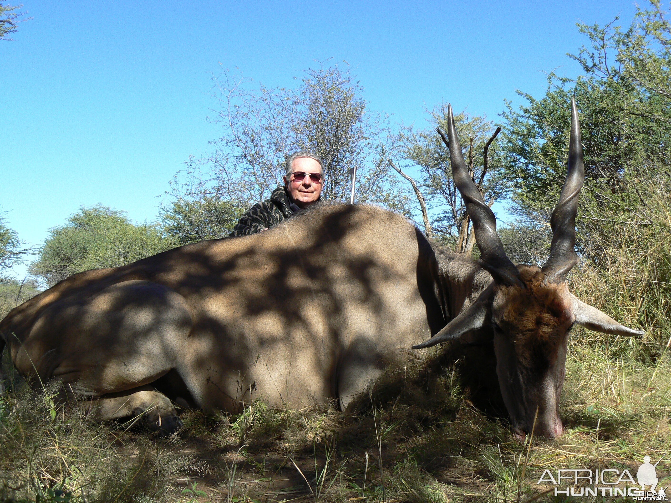 Hunting Cape Eland in Namibia