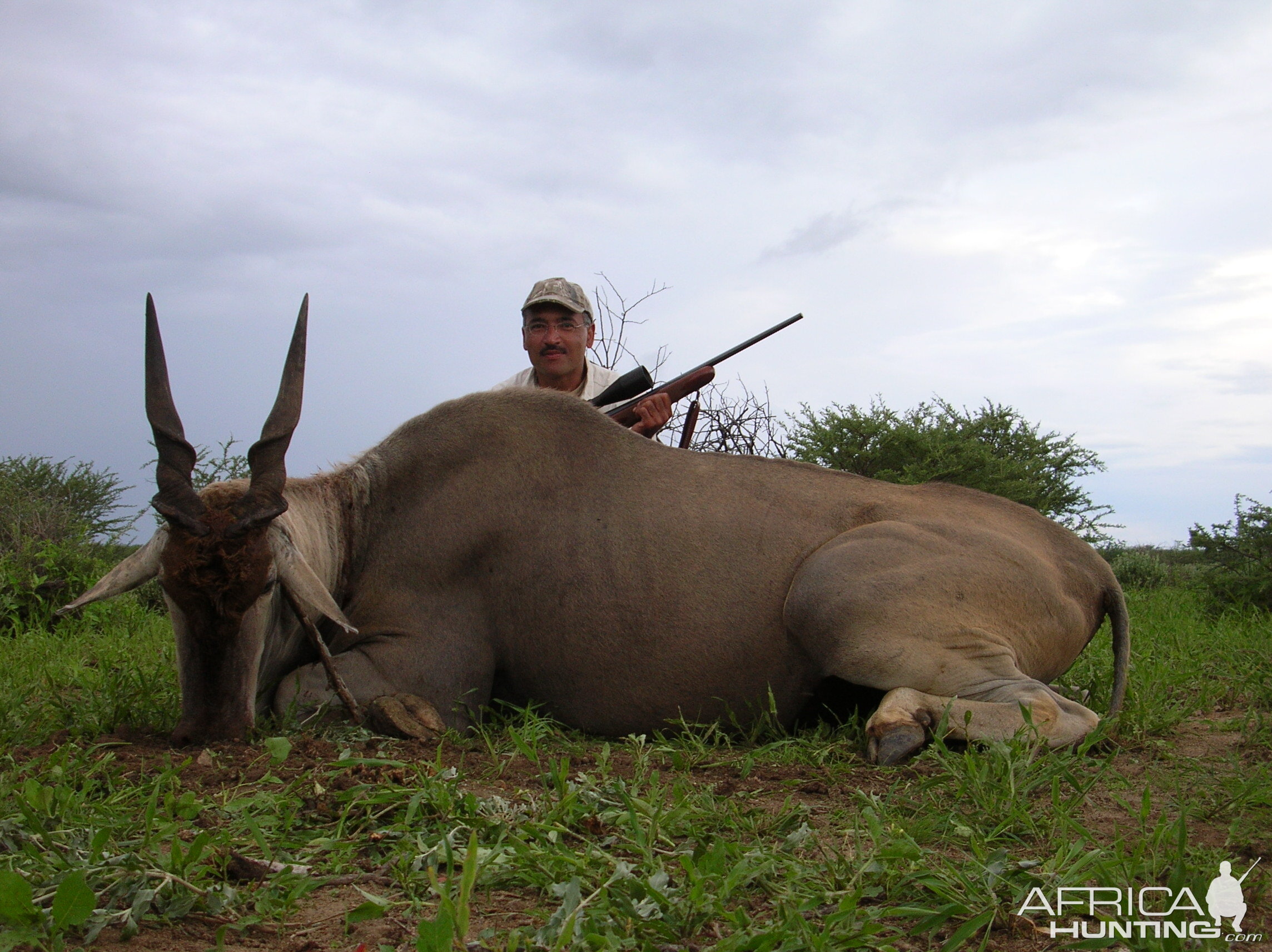 Hunting Cape Eland in Namibia