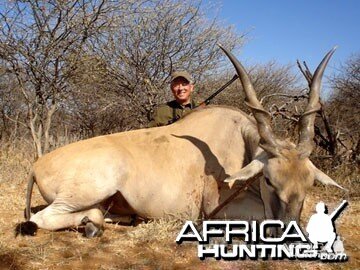 Hunting Cape Eland