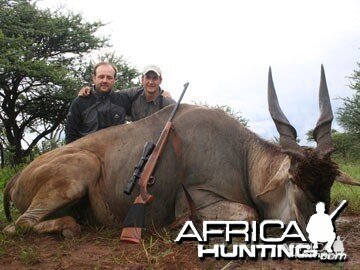 Hunting Cape Eland