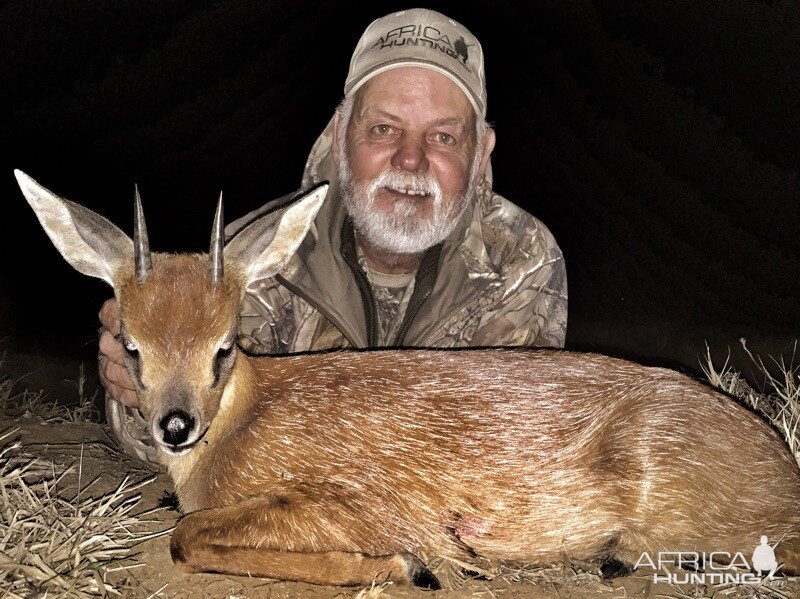 Hunting Cape Grysbok in South Africa