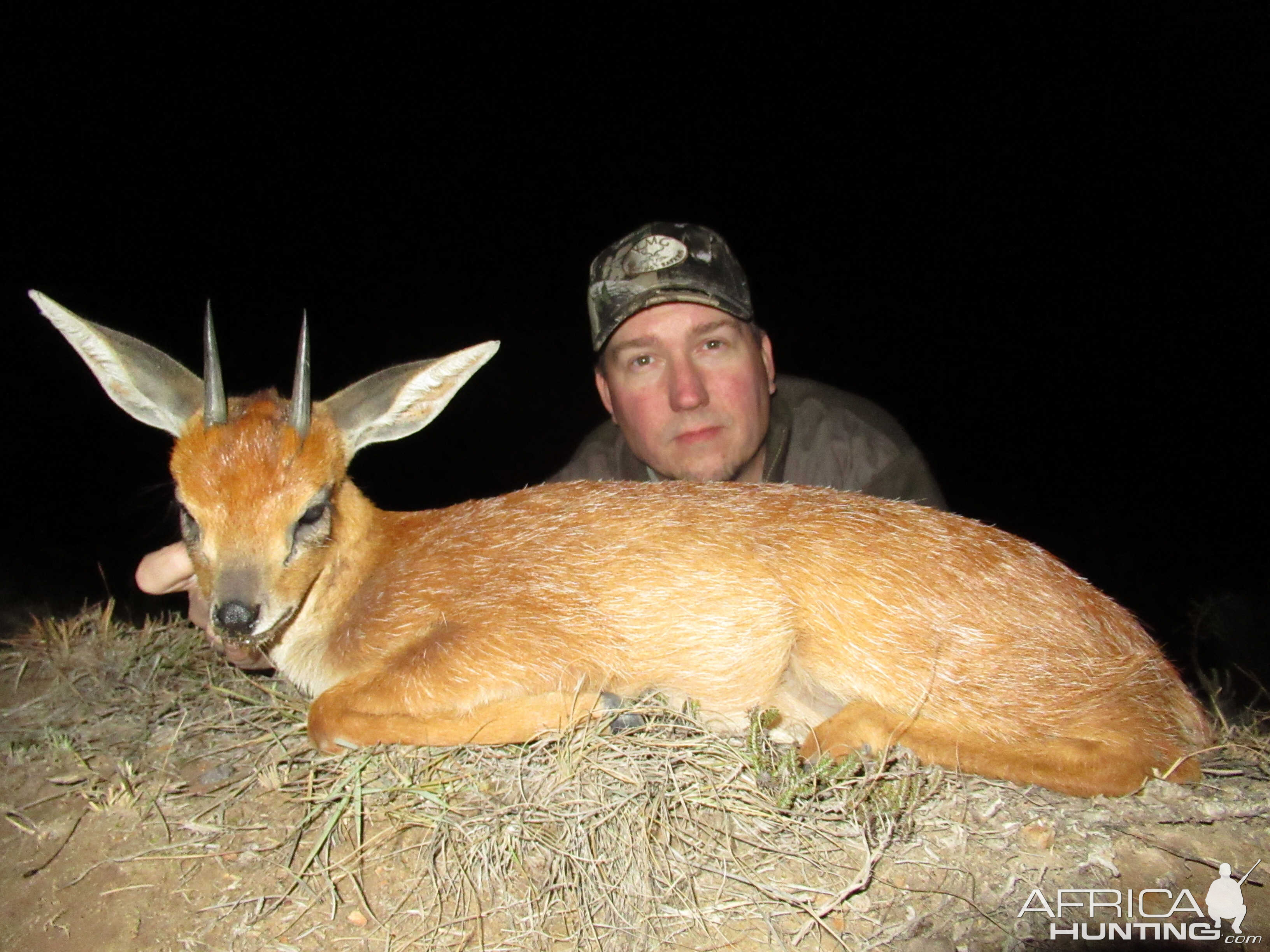 Hunting Cape Grysbok South Africa