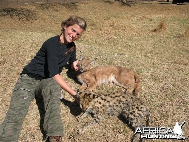 Hunting Caracal and Serval in South Africa