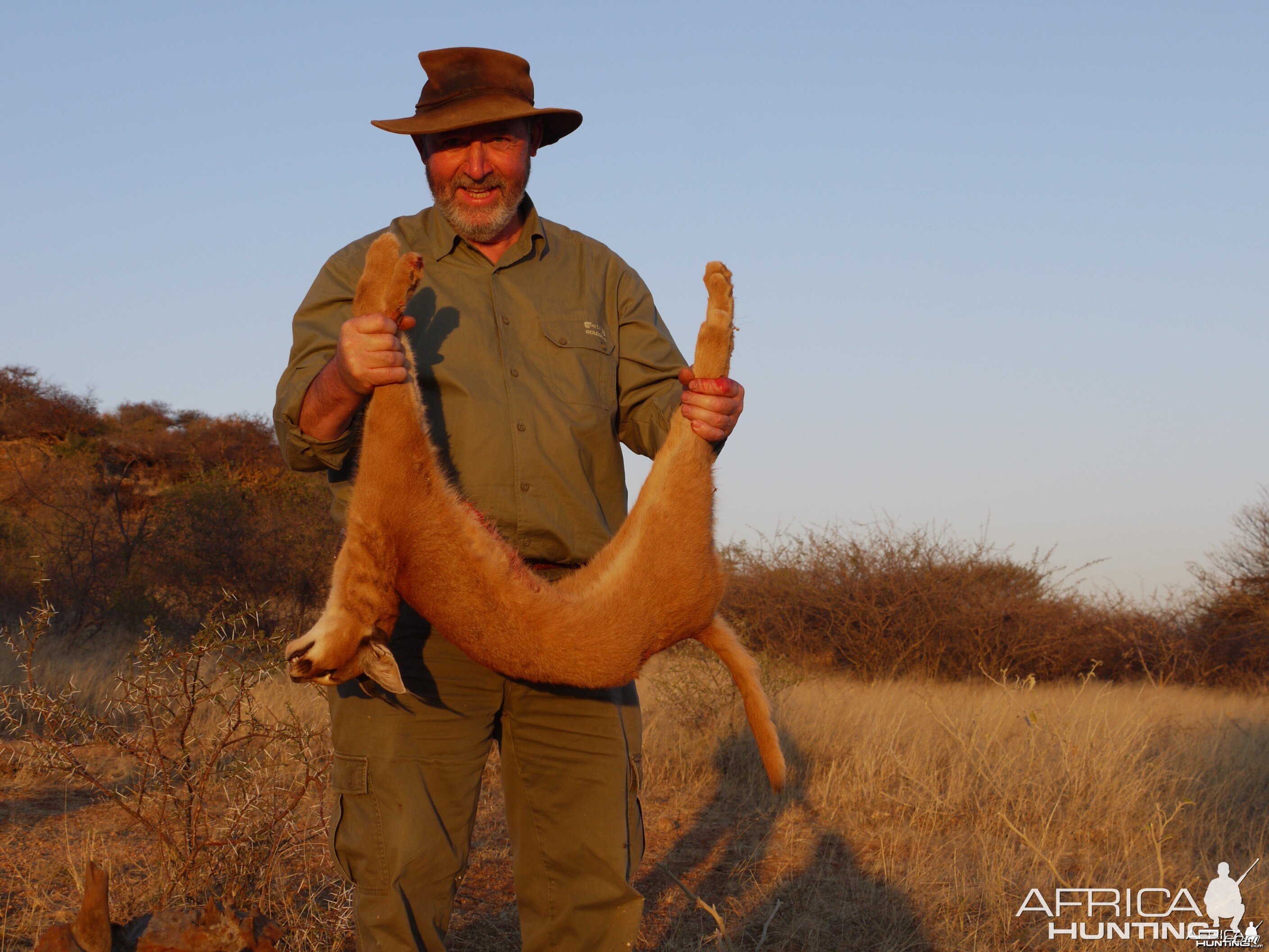 Hunting Caracal in Namibia