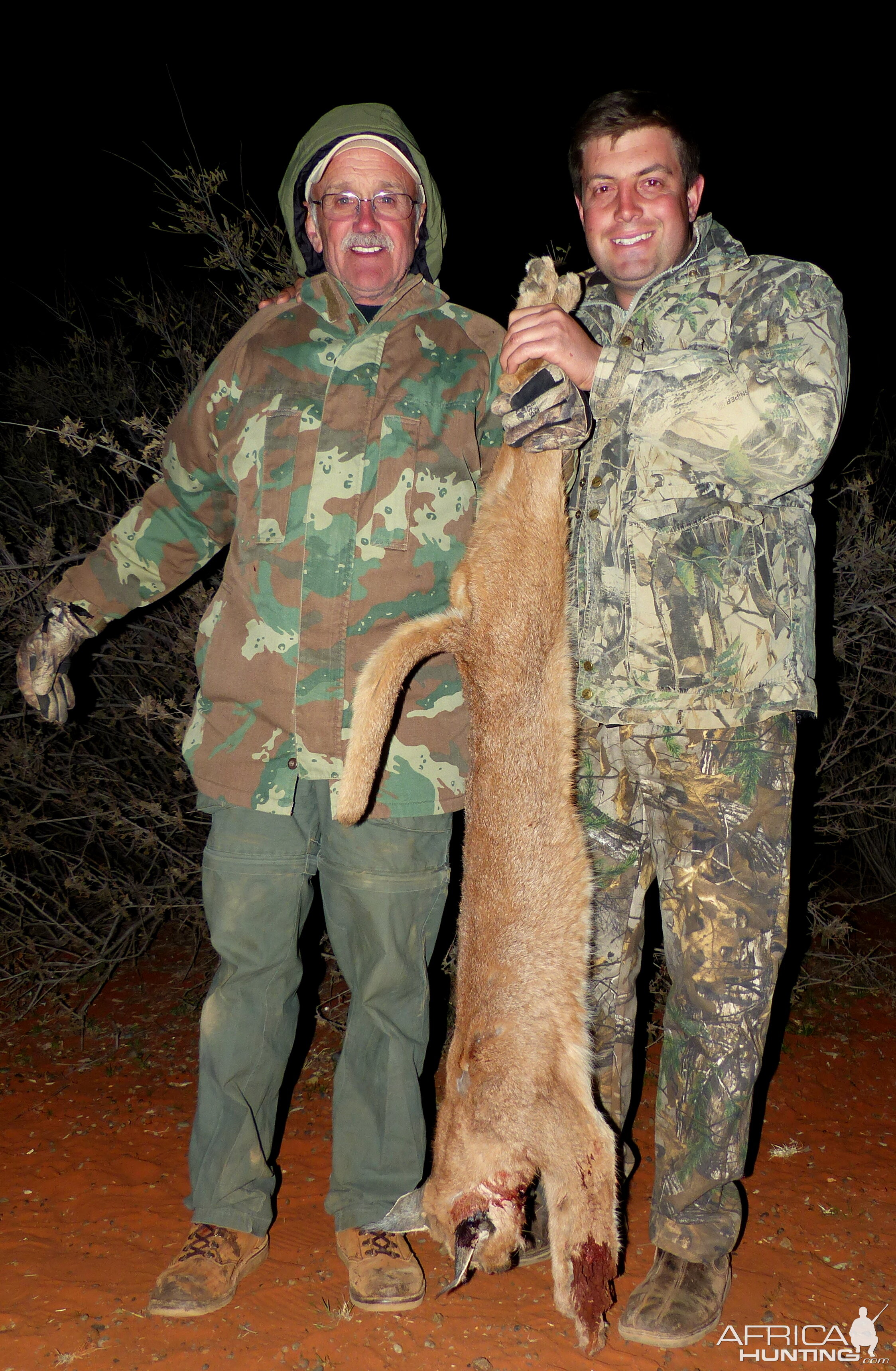 Hunting Caracal in South Africa