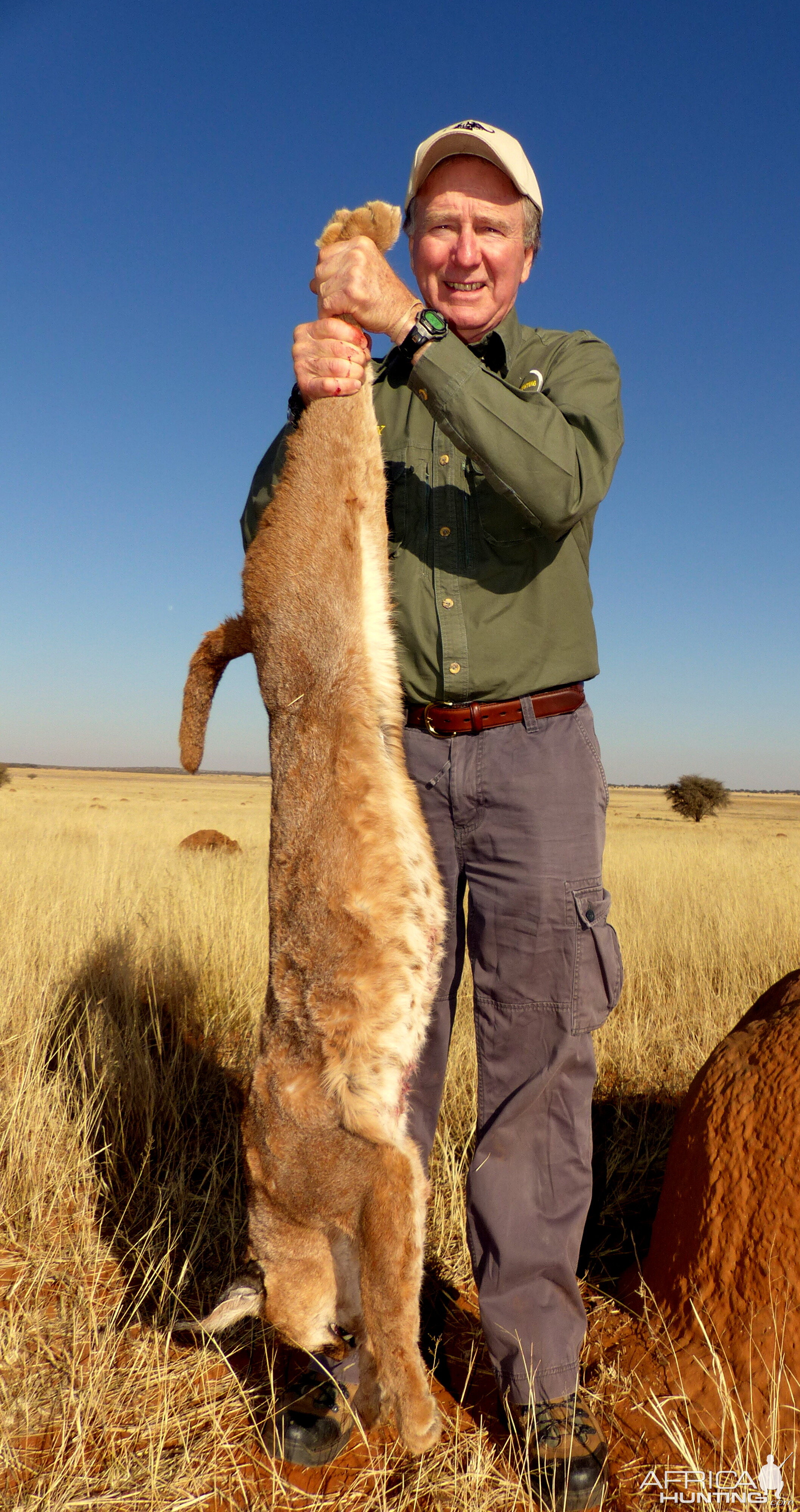 Hunting Caracal in South Africa