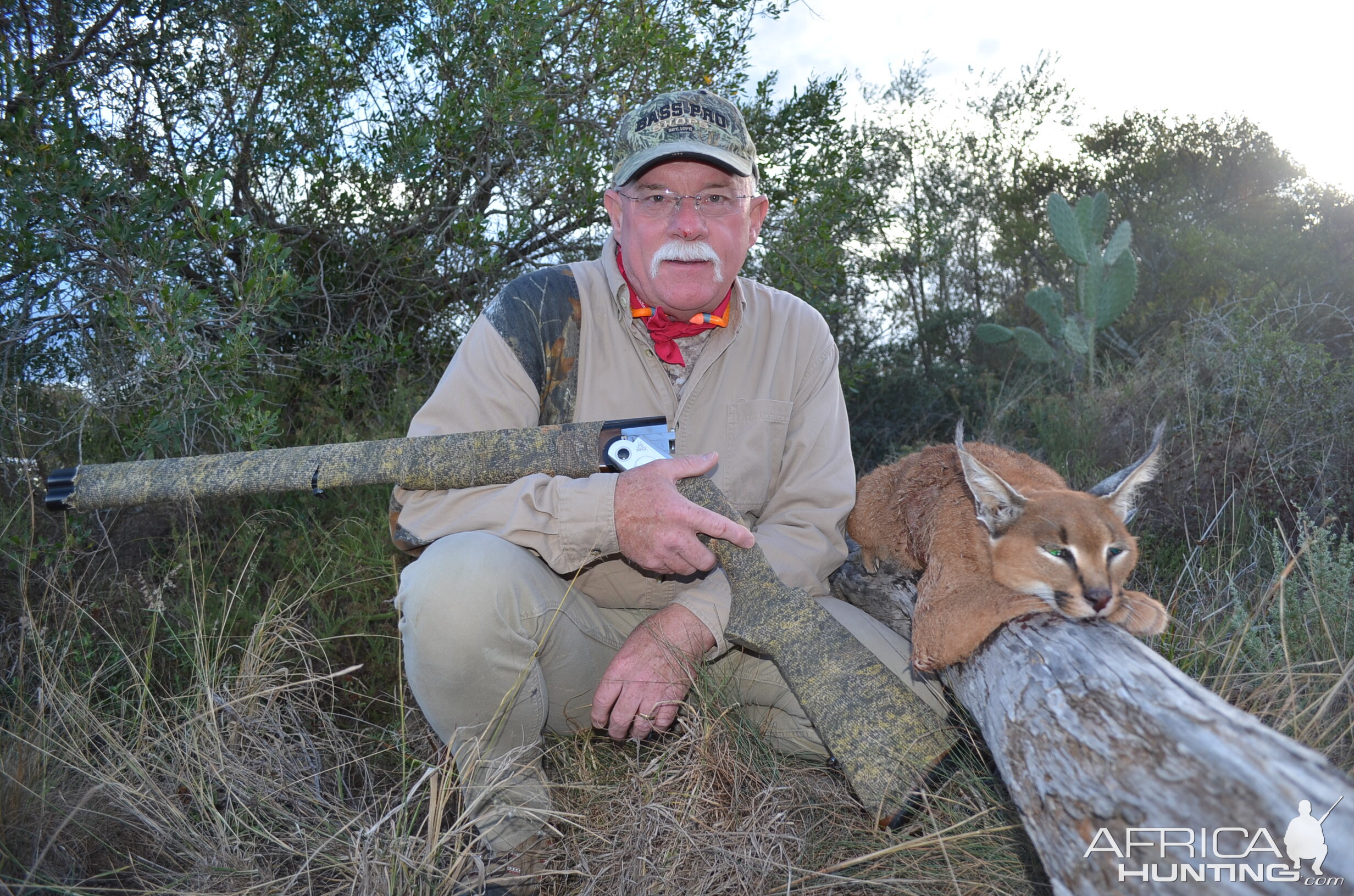 Hunting Caracal in South Africa