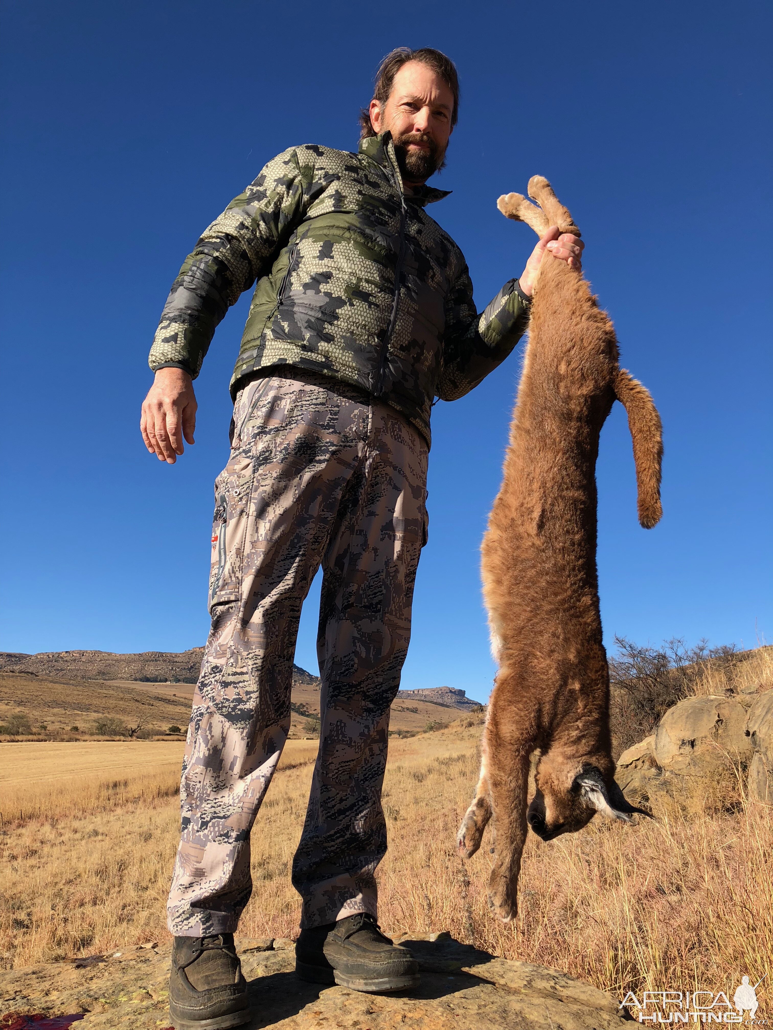 Hunting Caracal in South Africa