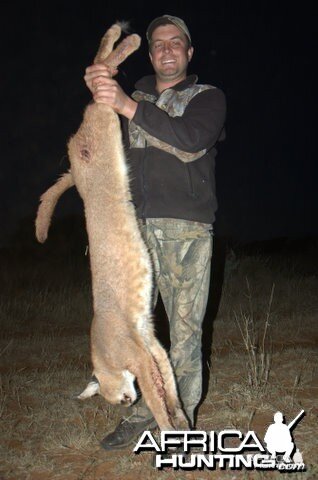 Hunting Caracal South Africa