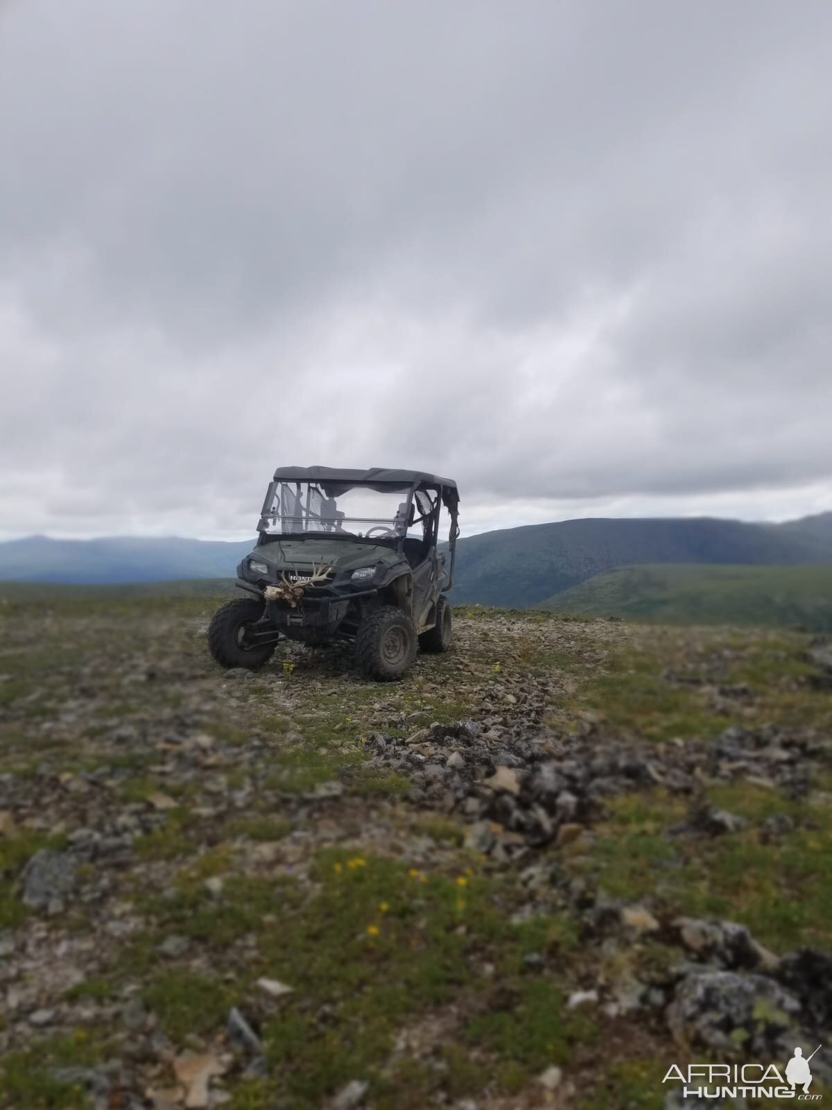 Hunting Caribou in USA