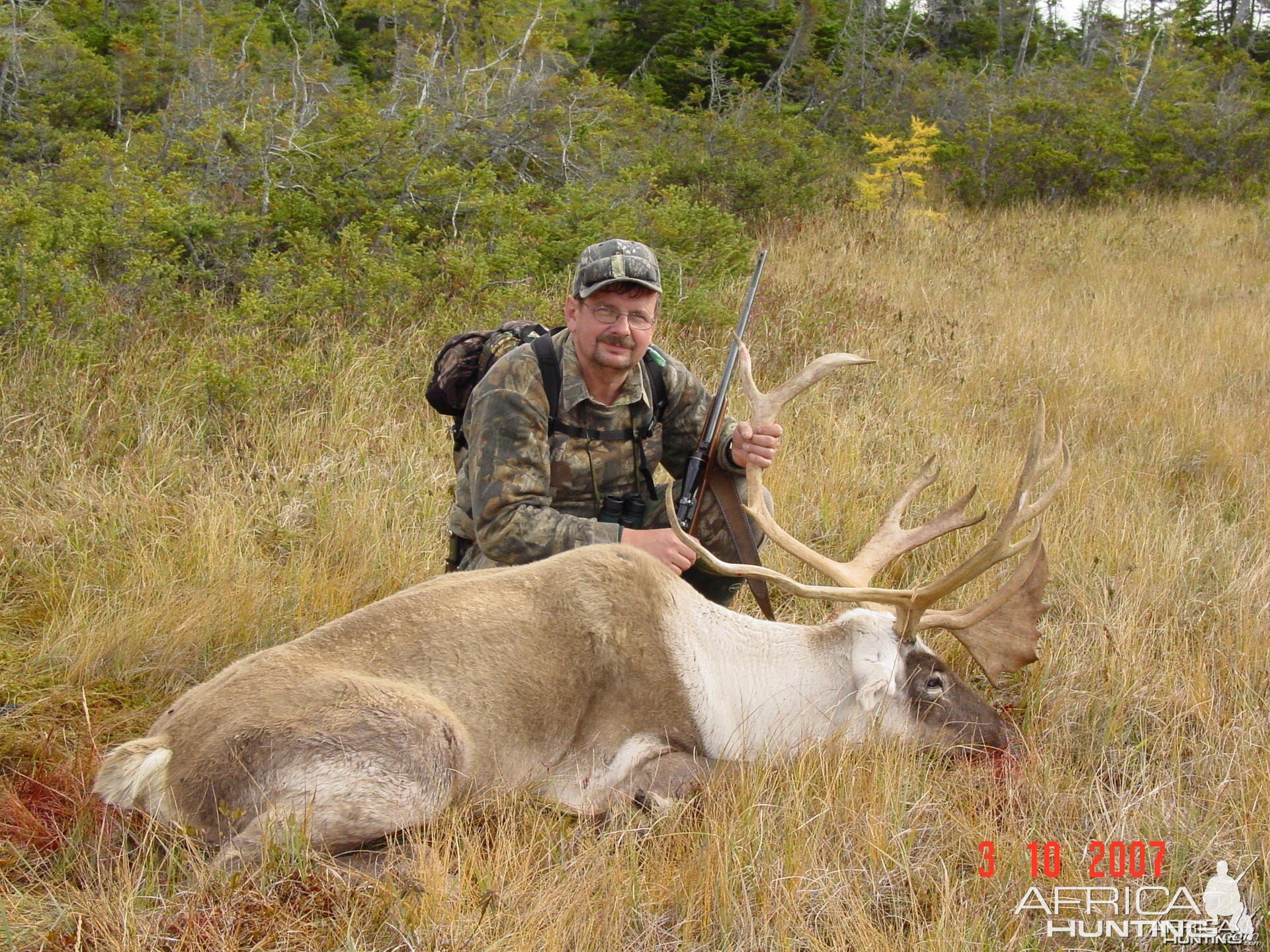 Hunting caribou