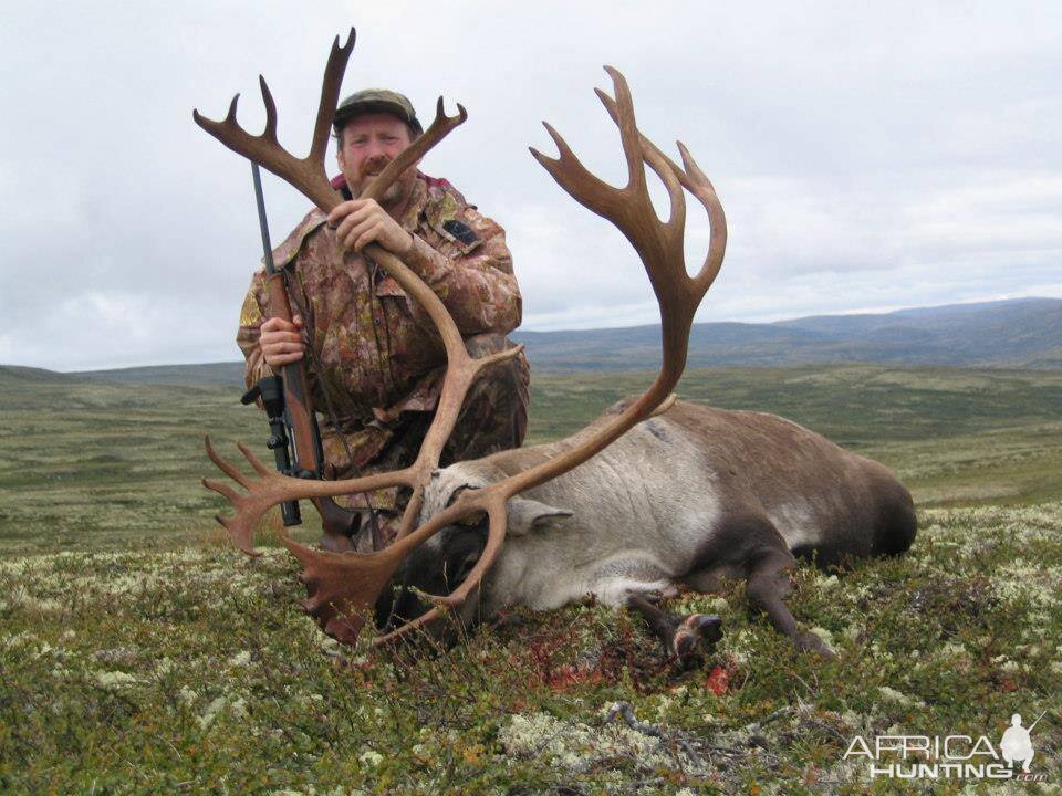 Hunting Caribou