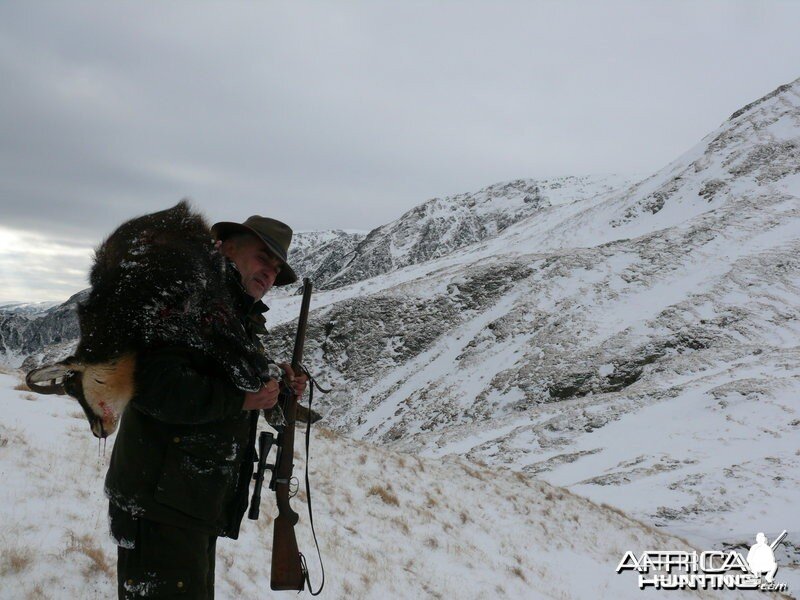 Hunting Carpathian Chamois in Romania