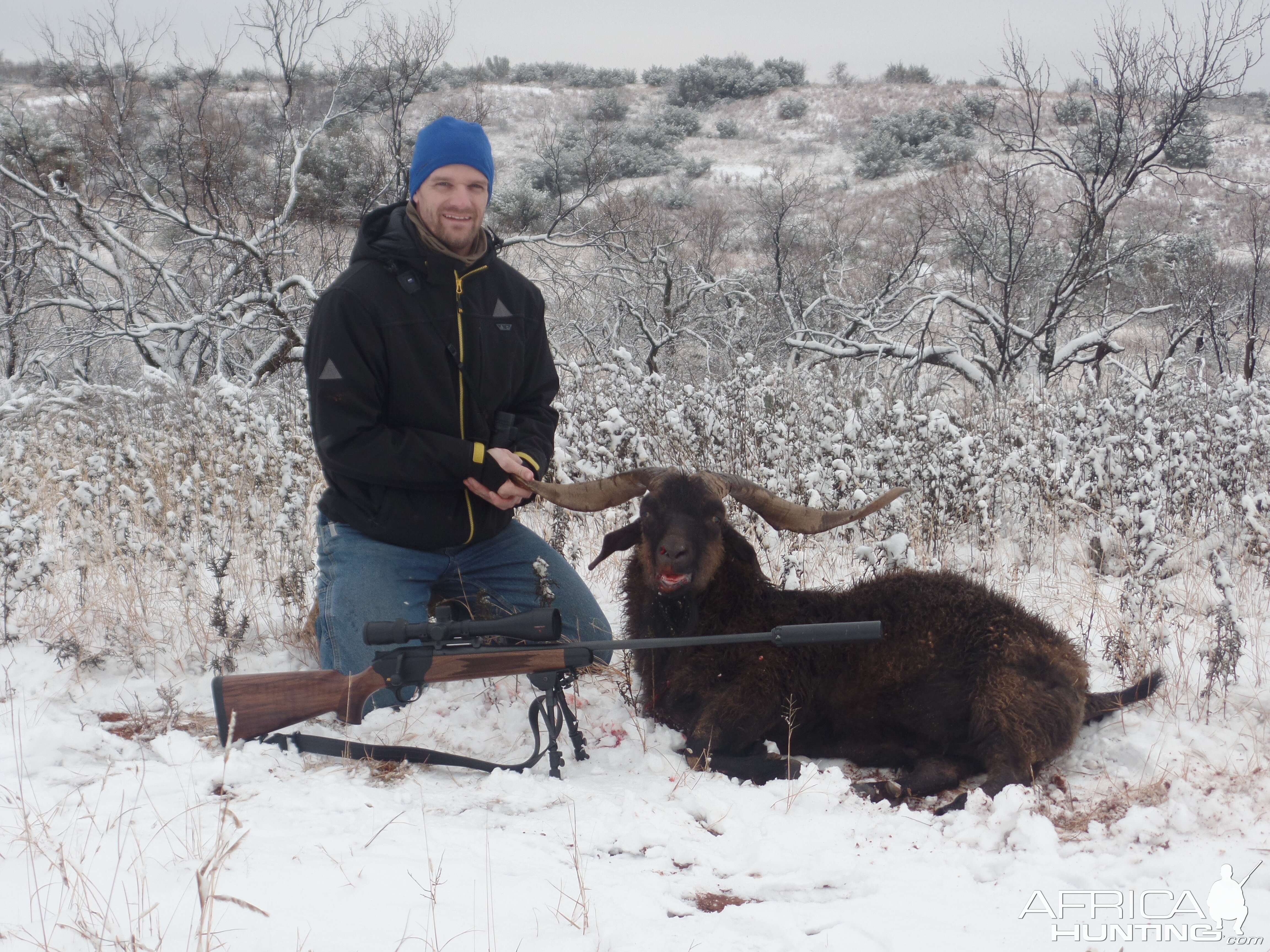 Hunting Catalina Goat in Texas USA