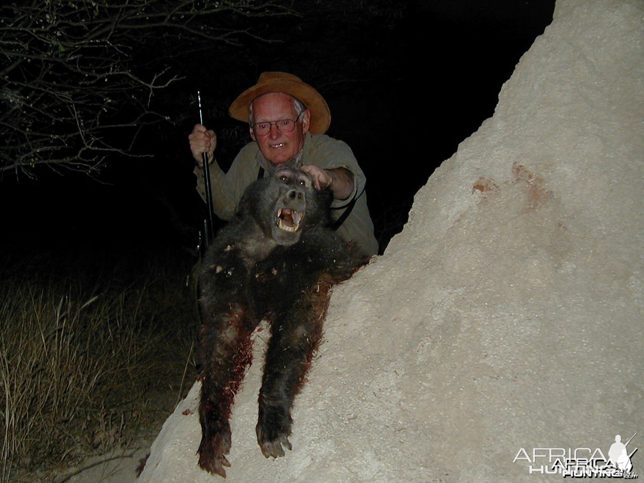 Hunting Chacma Baboon Namibia