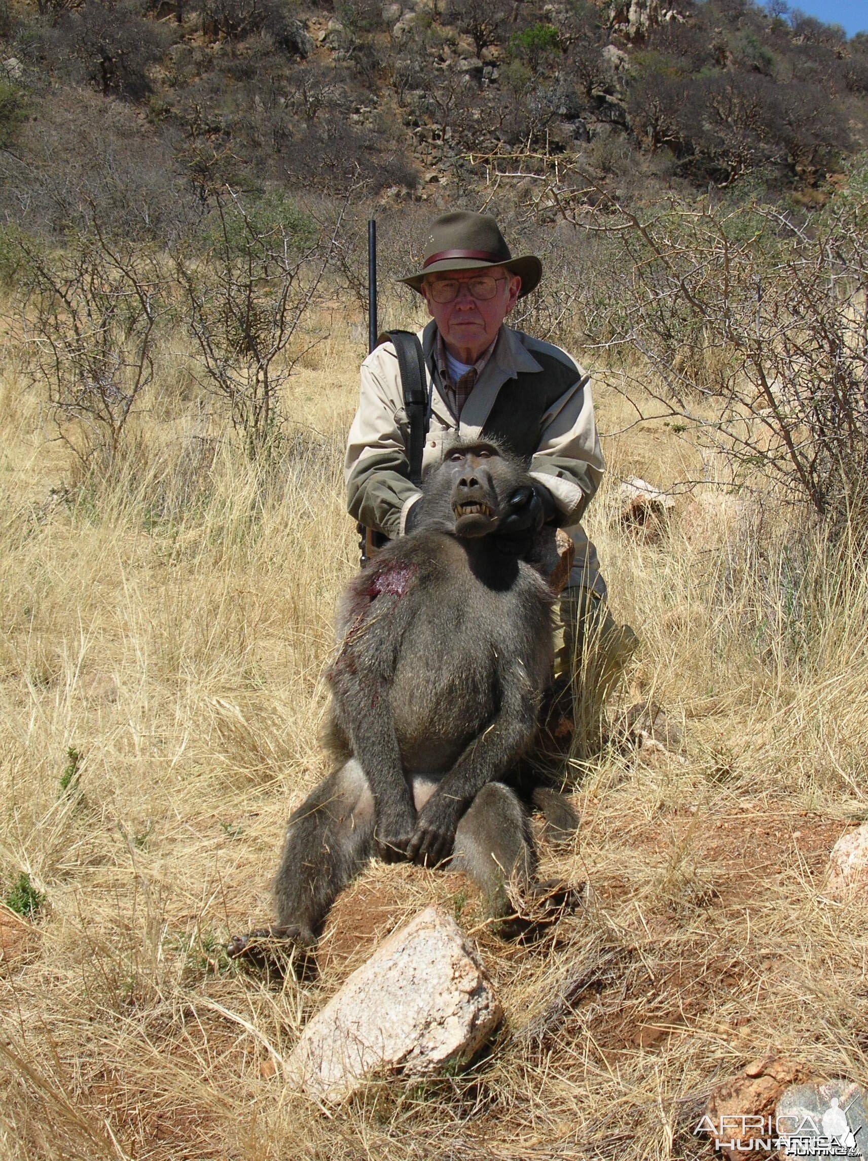 Hunting Chacma Baboon Namibia