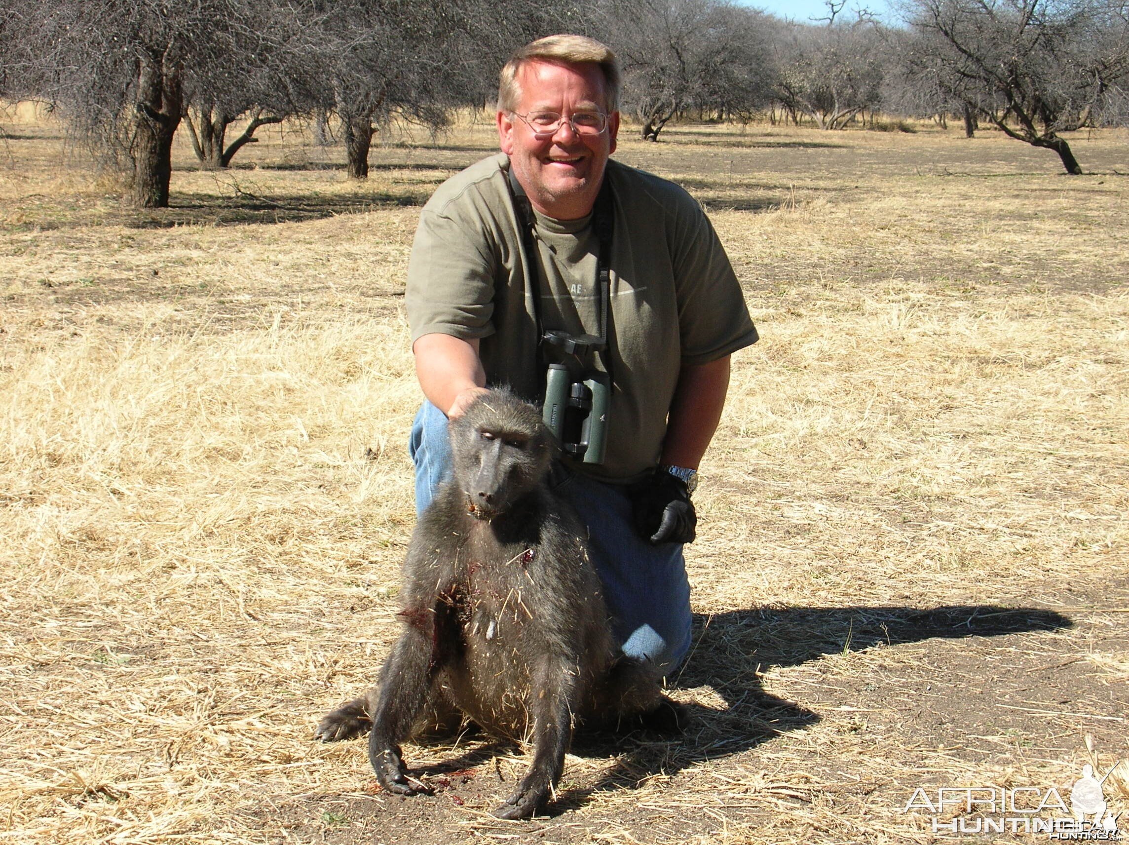 Hunting Chacma Baboon Namibia