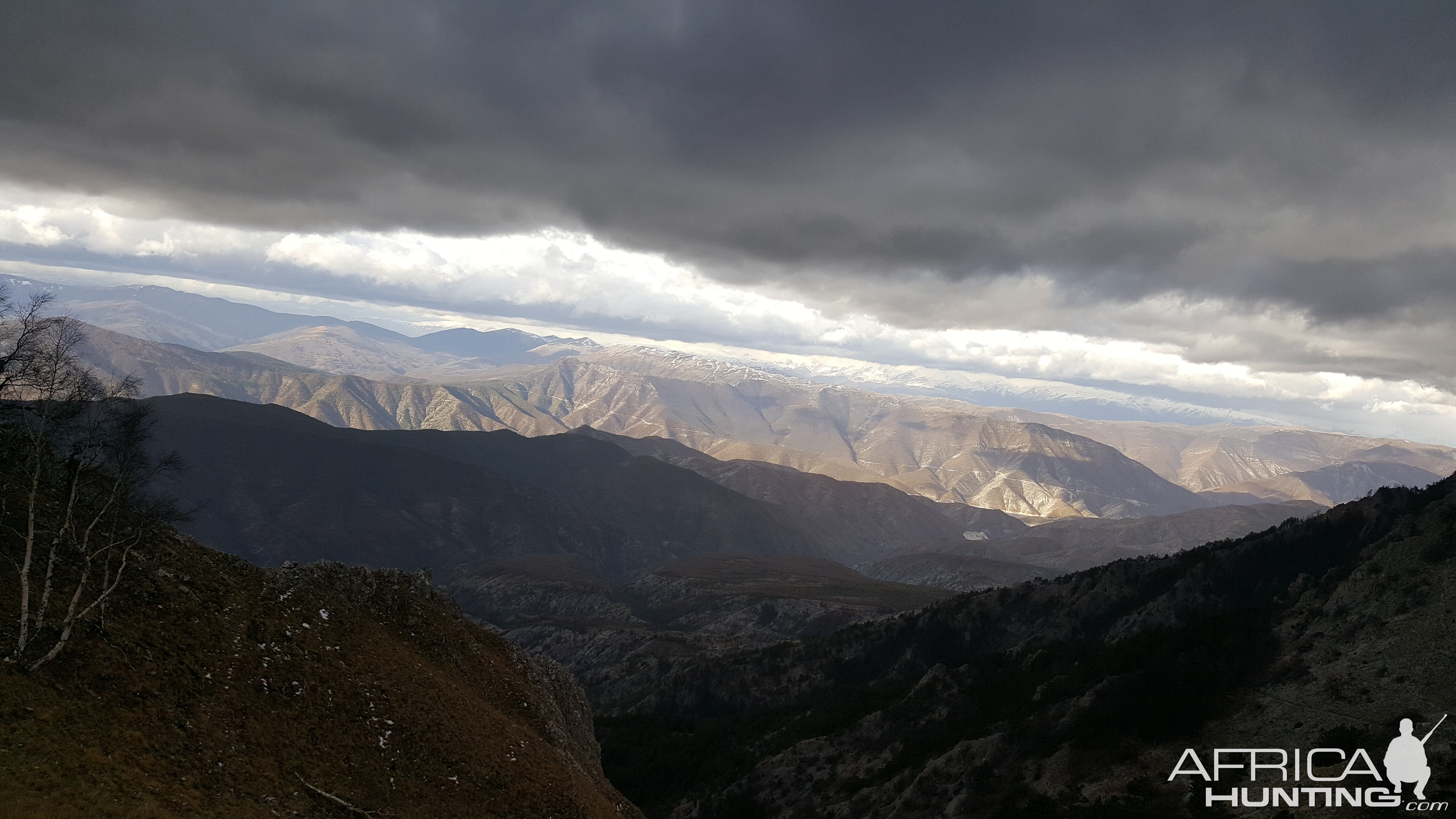 Hunting Chamois in Macedonia