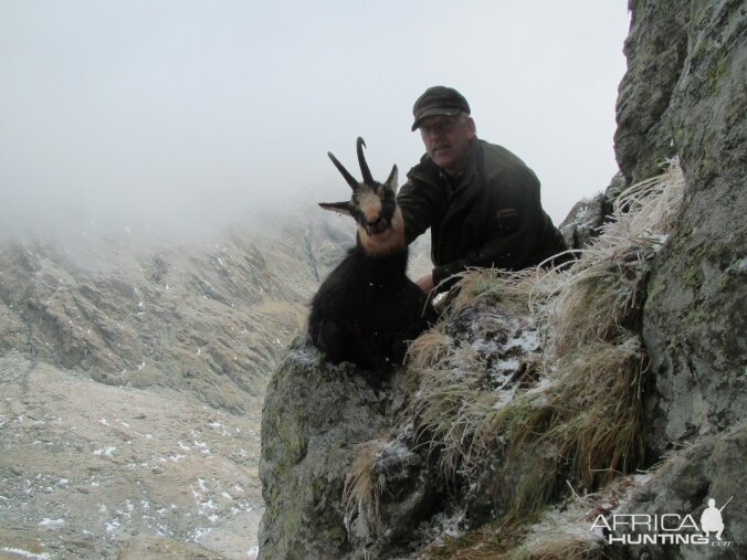 Hunting Chamois in Romania