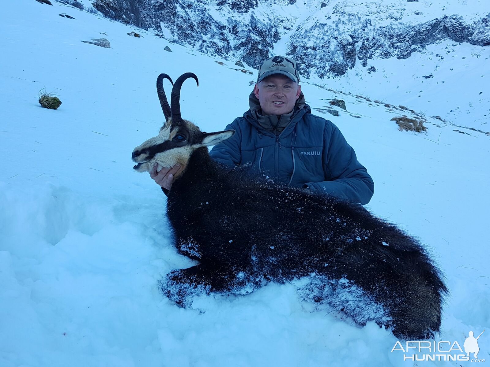 Hunting Chamois Romania