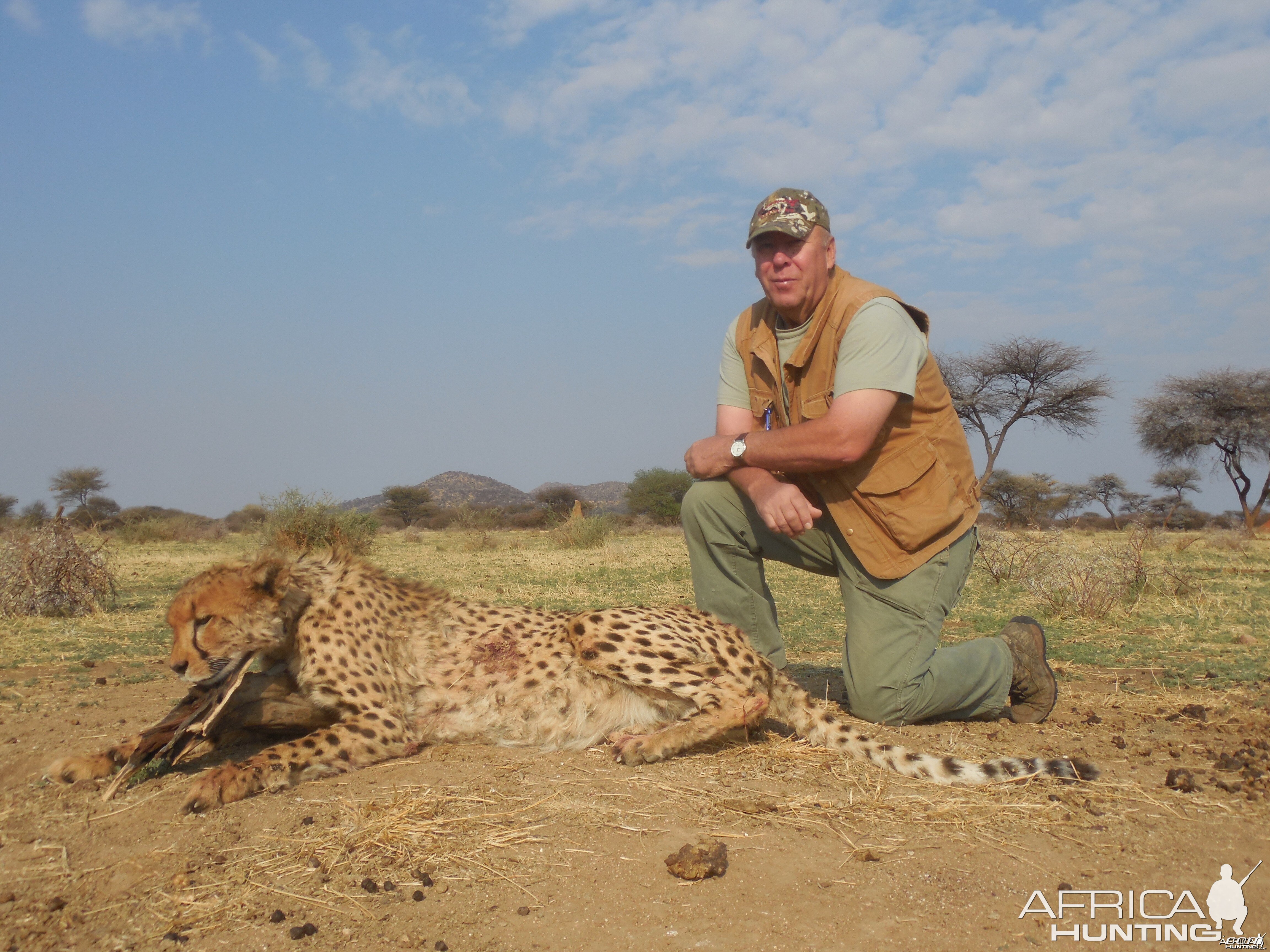 Hunting Cheetah at Ozondjahe Hunting Safaris in Namibia