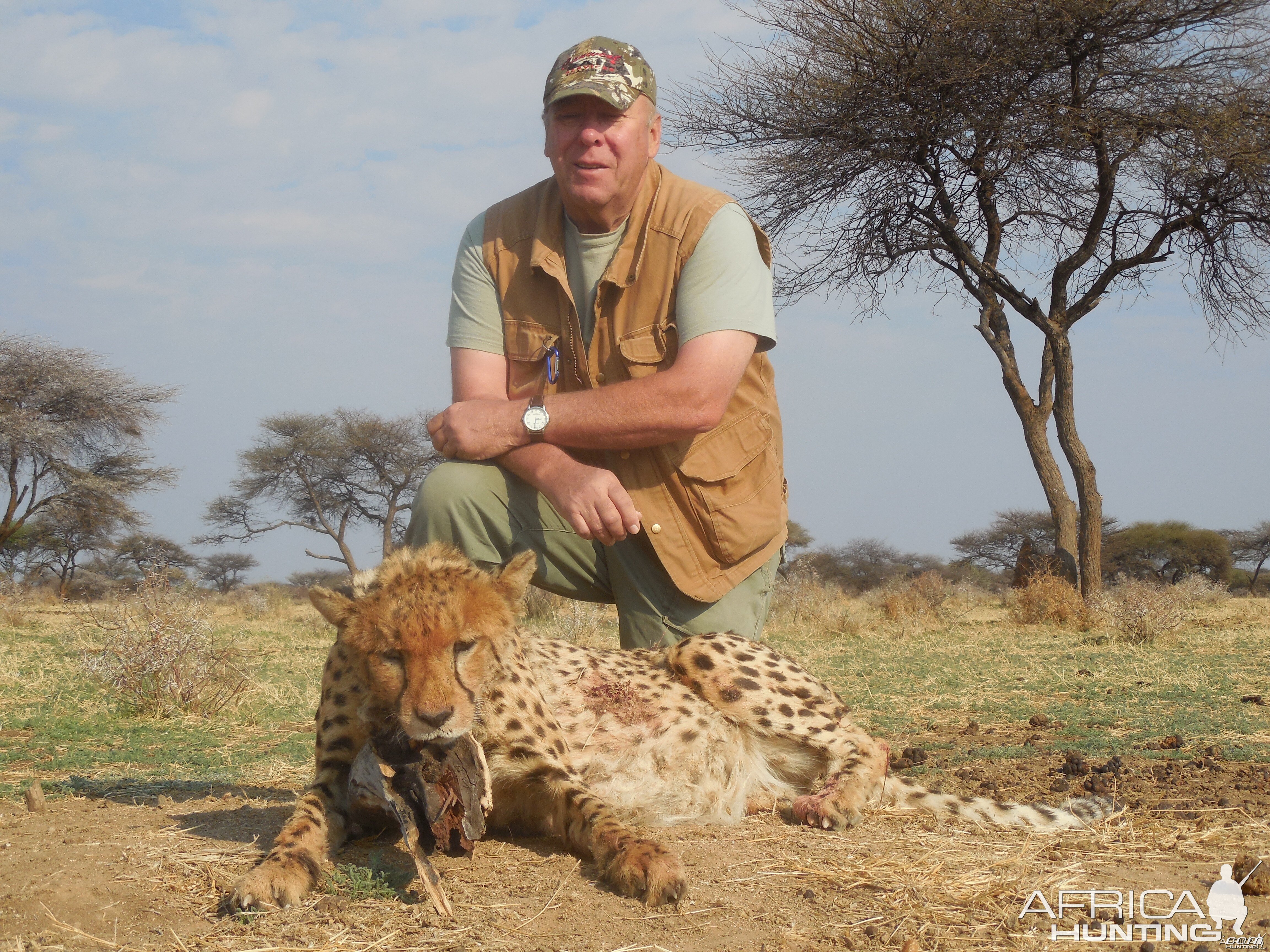 Hunting Cheetah at Ozondjahe Hunting Safaris in Namibia