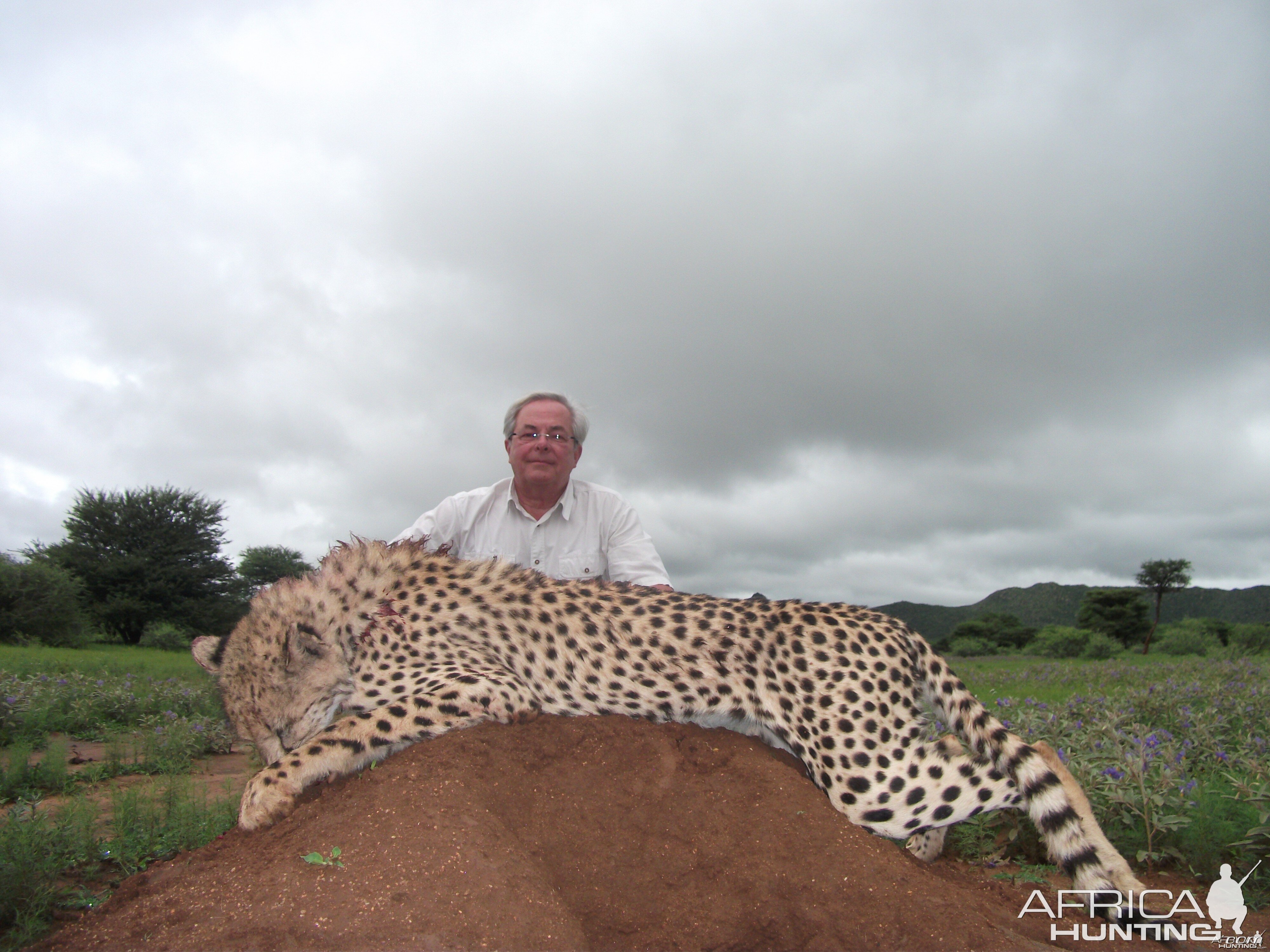 Hunting Cheetah in Namibia with Ozondjahe Hunting Safaris