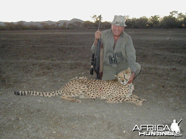 Hunting Cheetah in Namibia