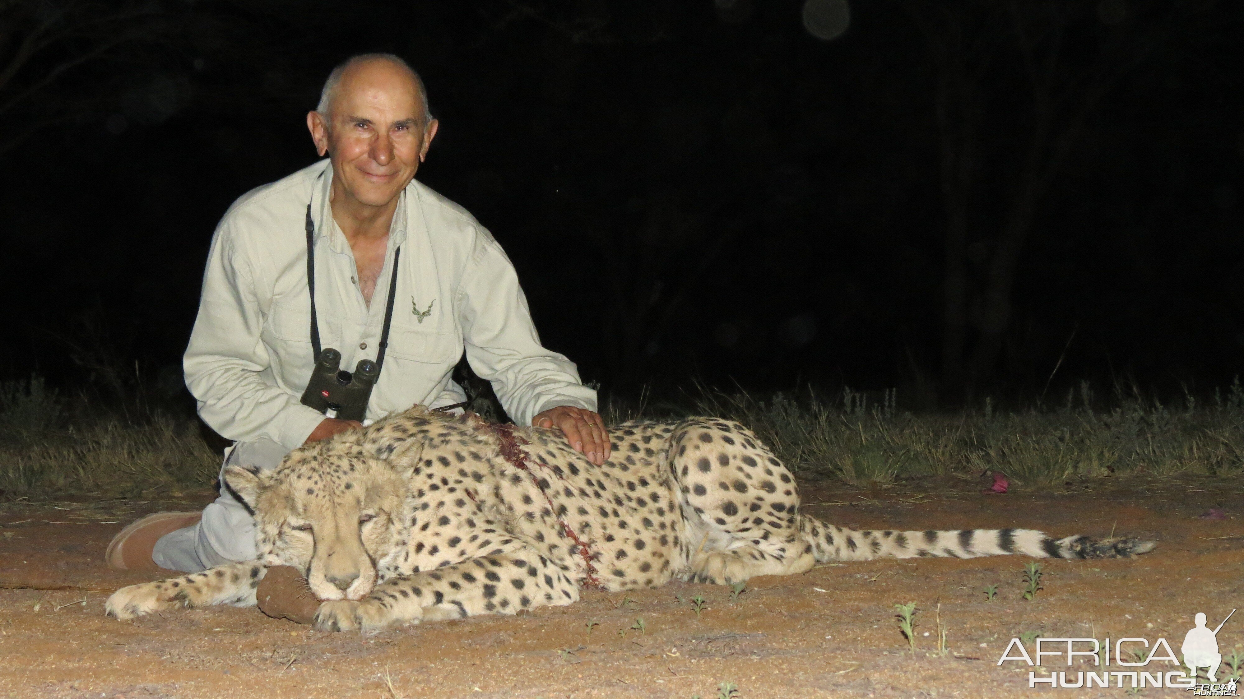 Hunting Cheetah in Namibia