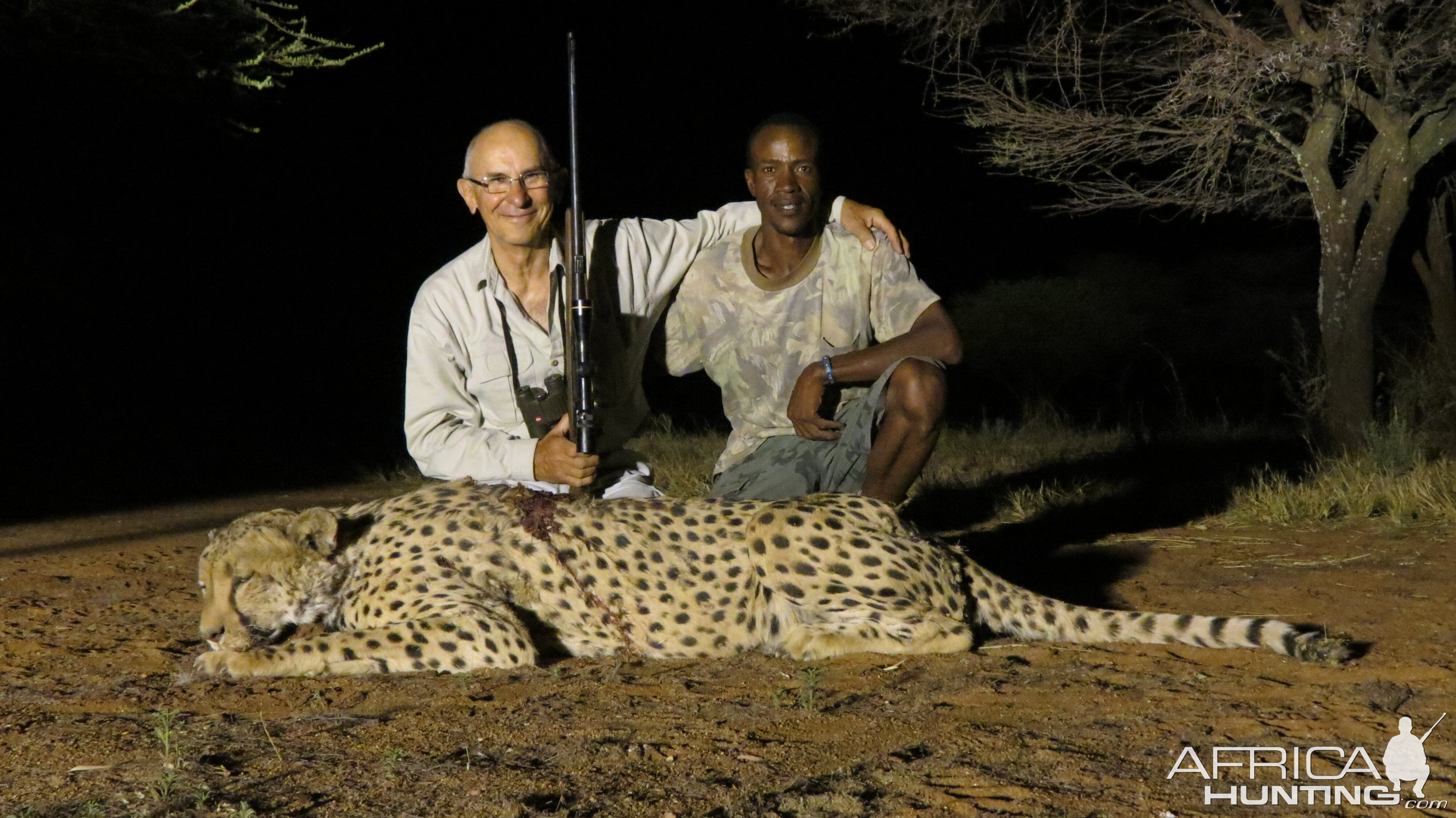 Hunting Cheetah in Namibia