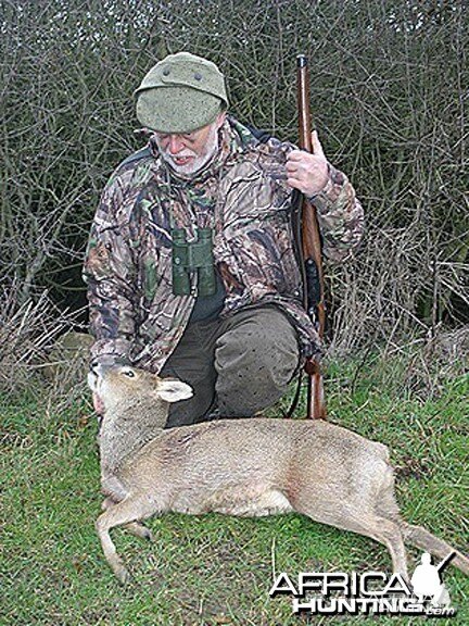 Hunting Chinese Water Deer